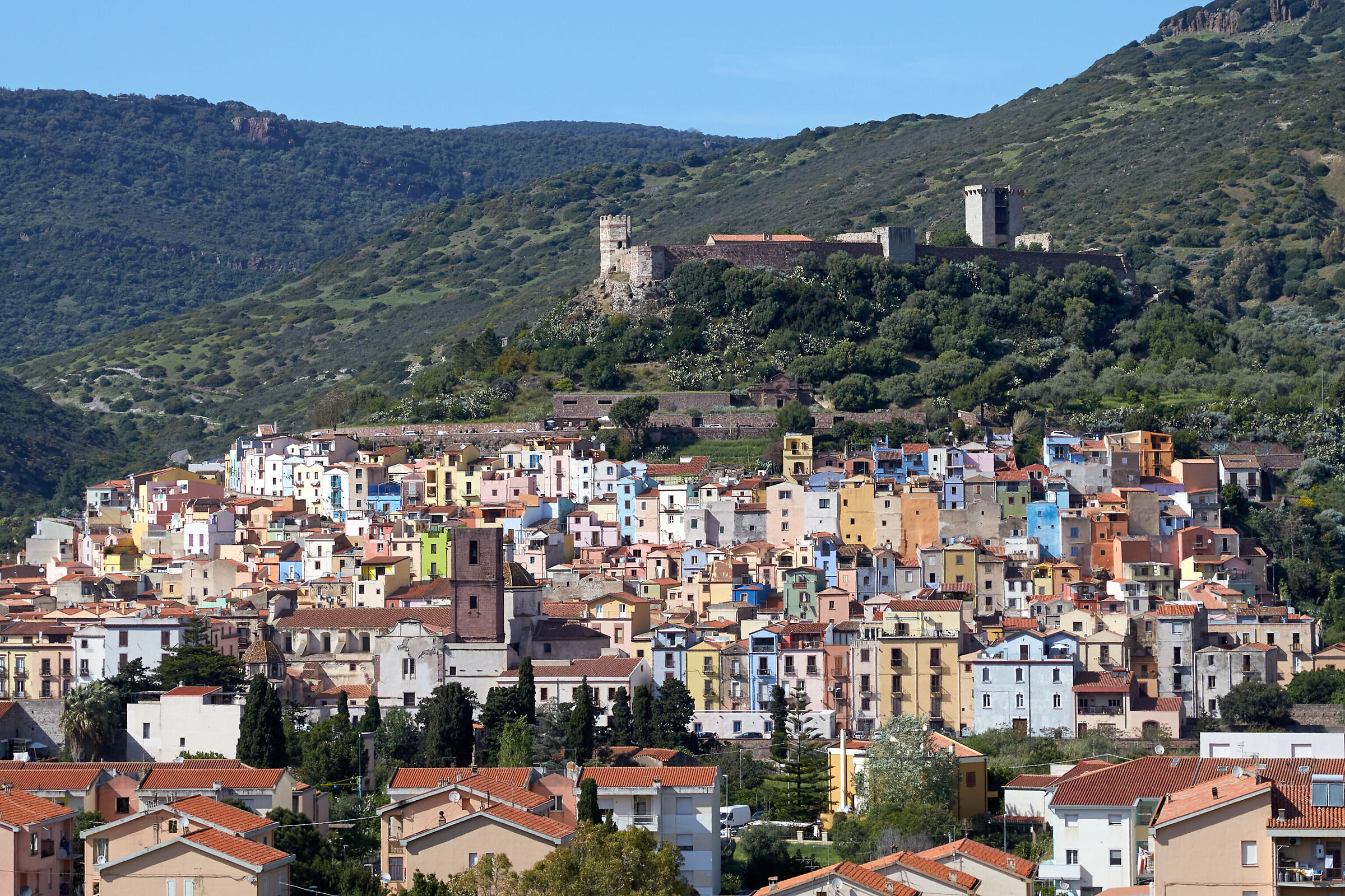 Bosa