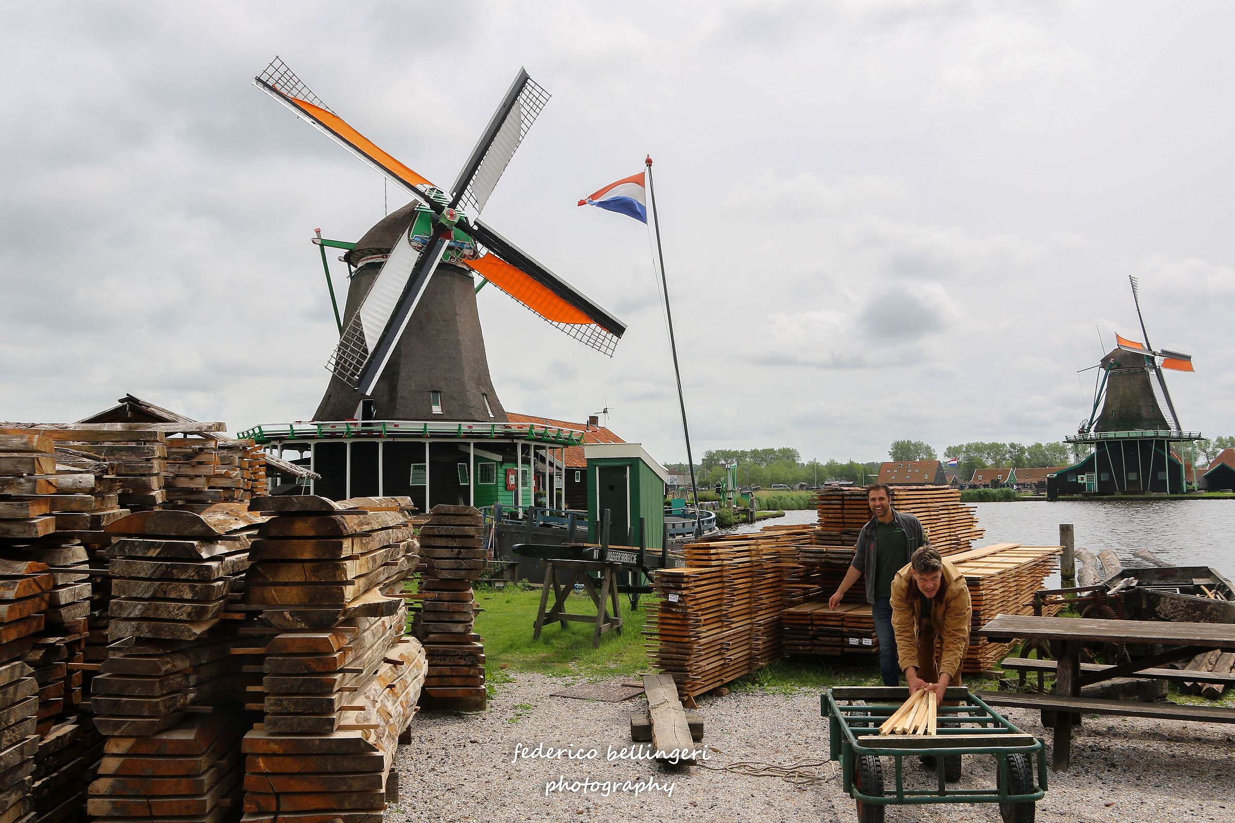 windmills
