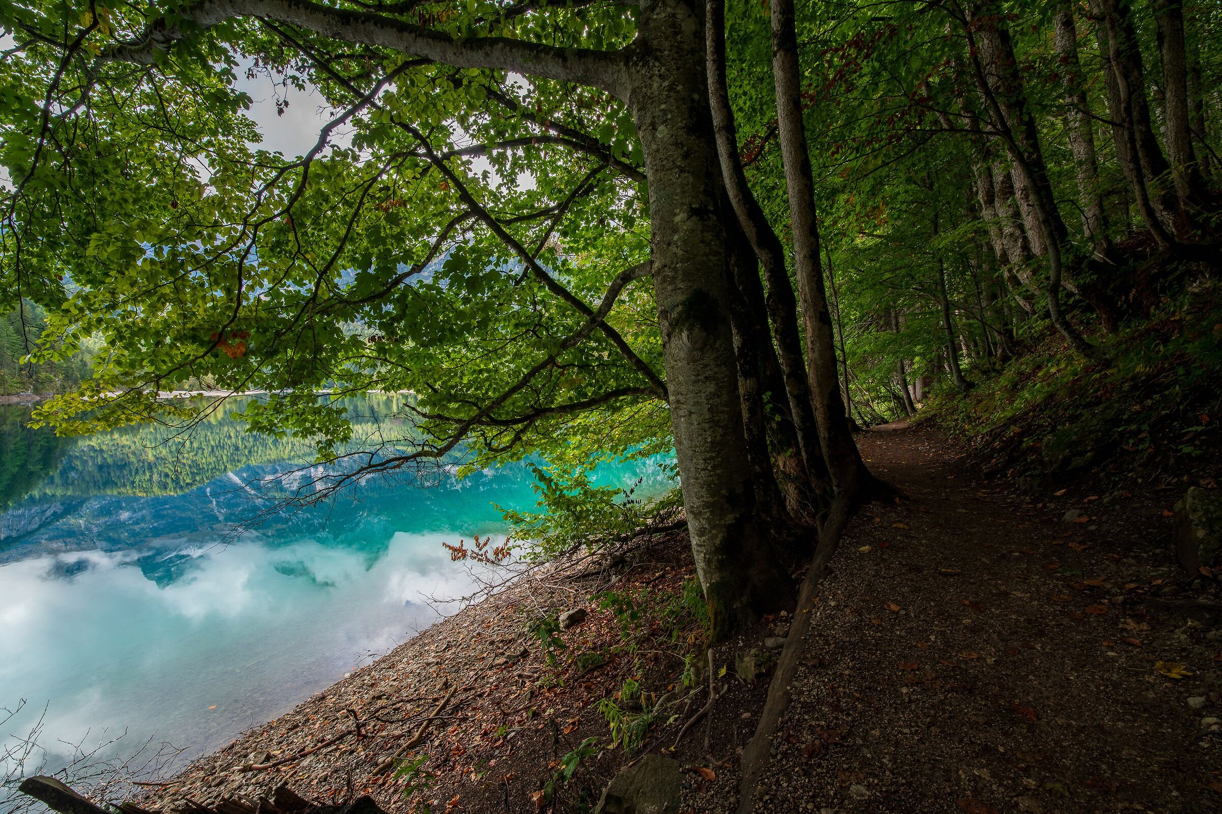 lago di Tovel (Tn) 26.09.22