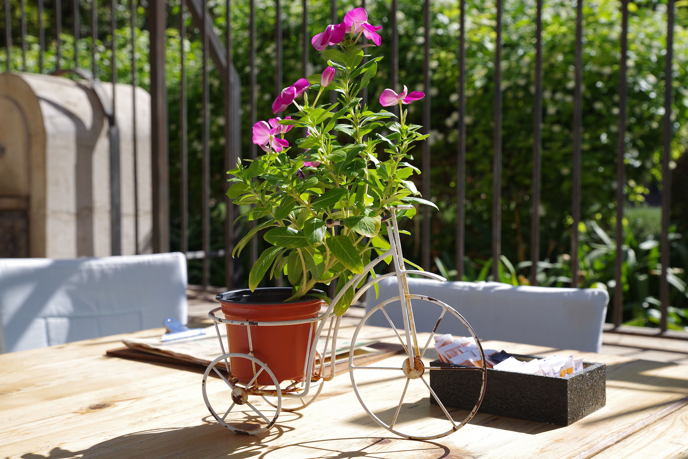 The Centerpiece Bike