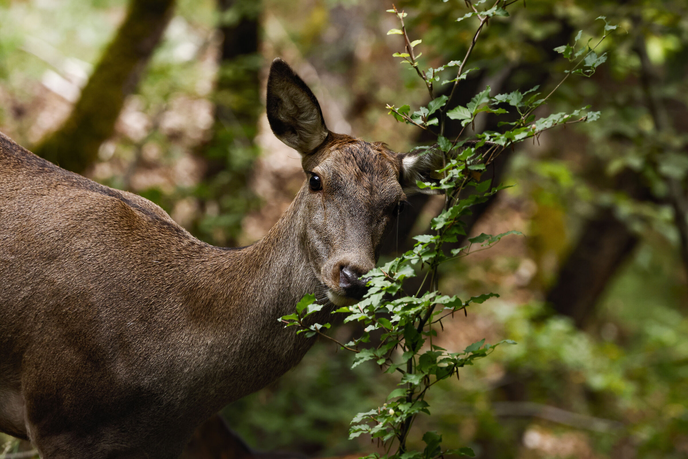 Un incontro inaspettato