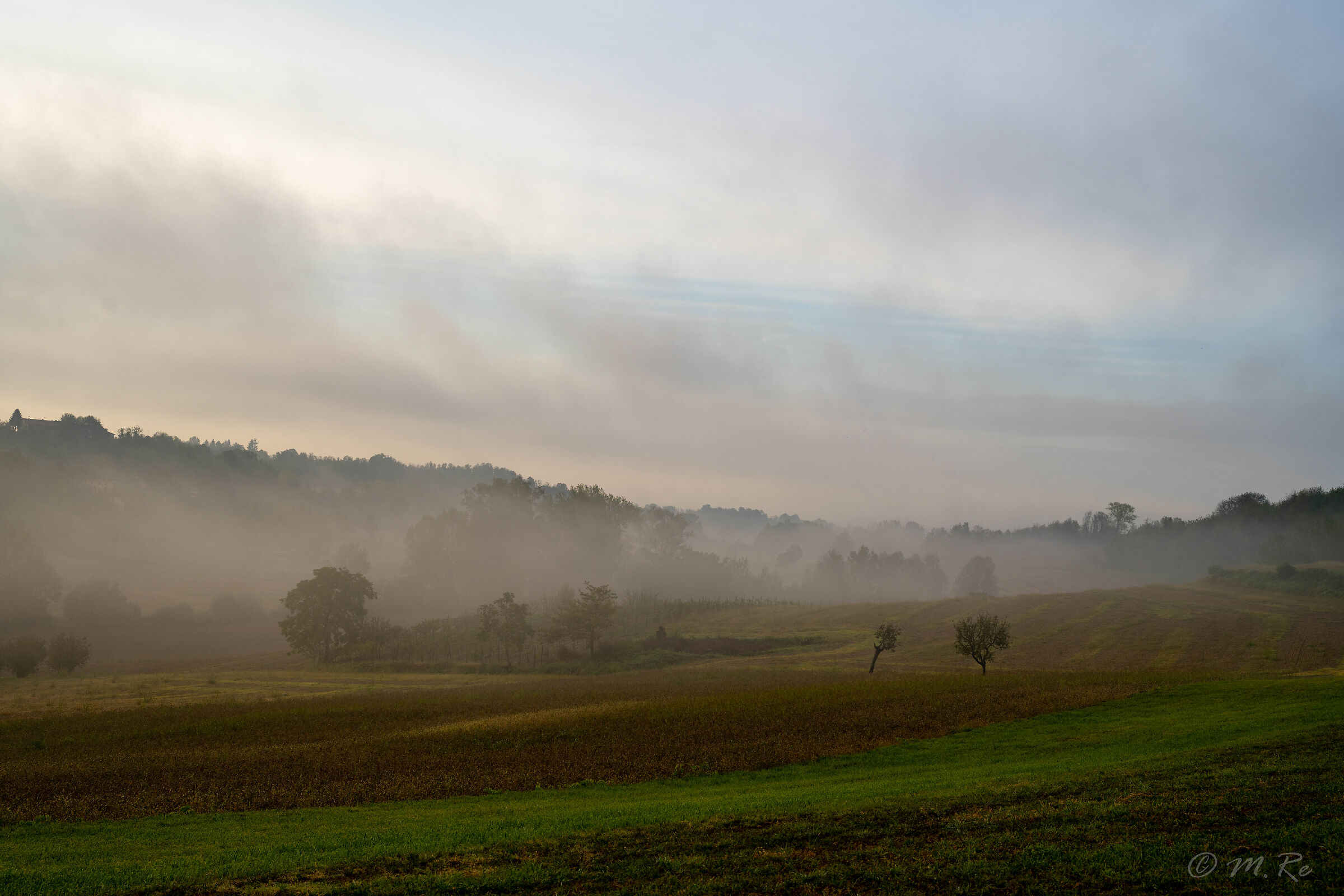 Untitled Photo