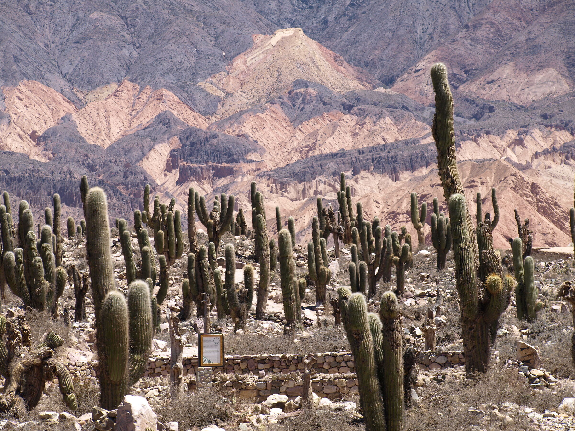 The Andes - landscapes