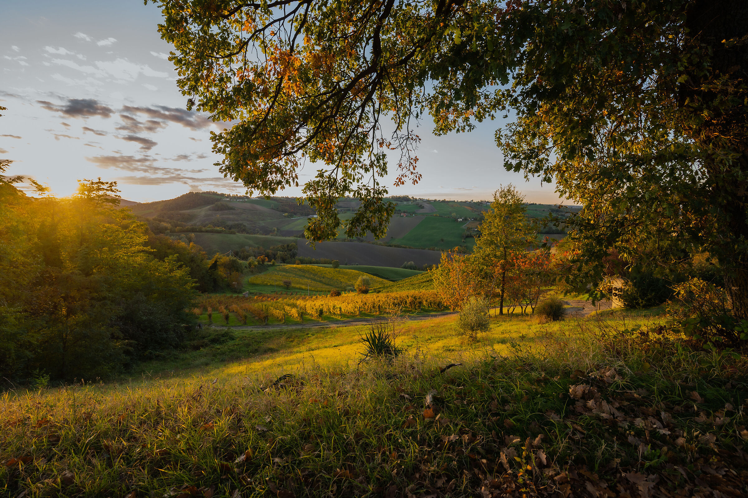 Autunno d'orato