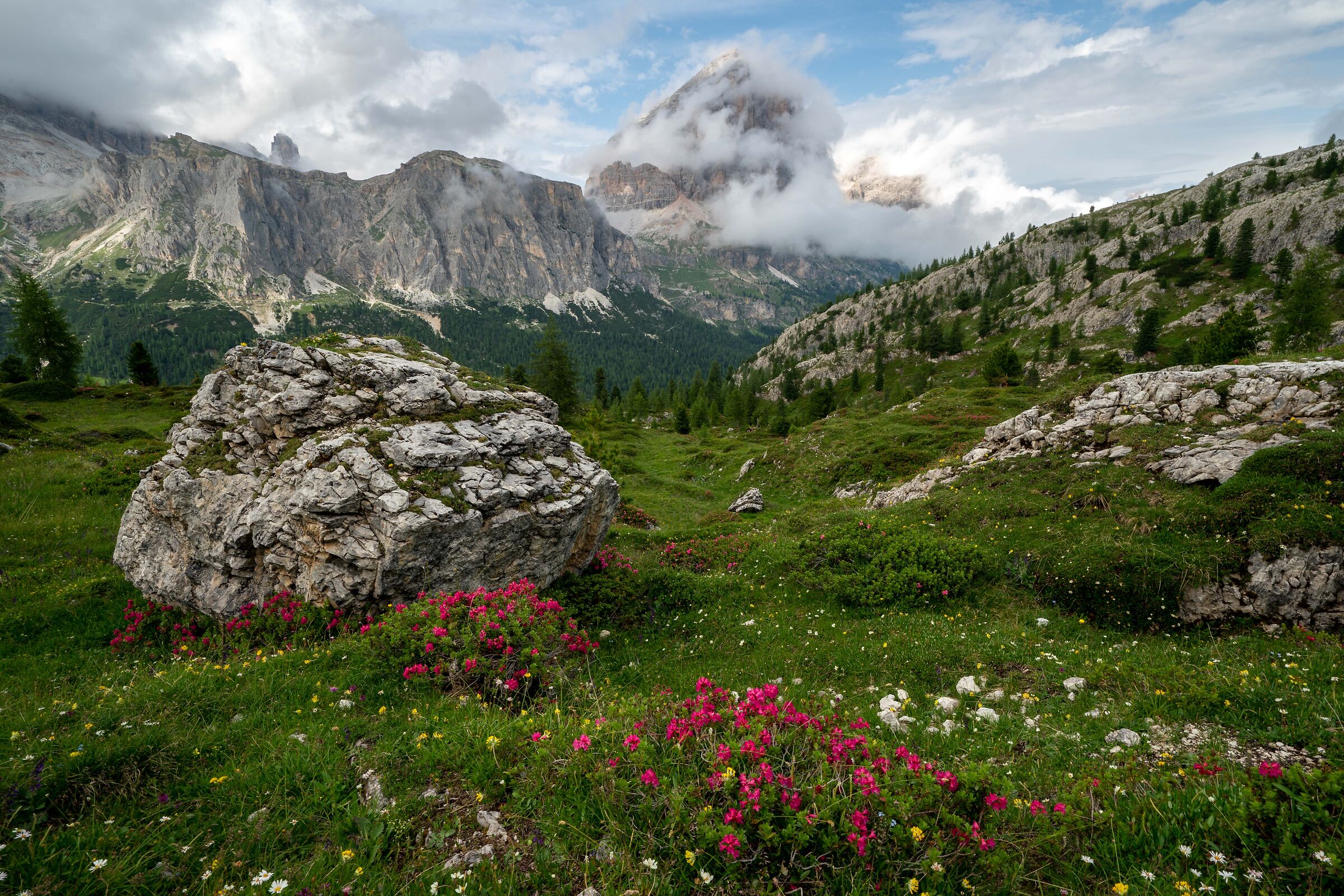 Dolomiti