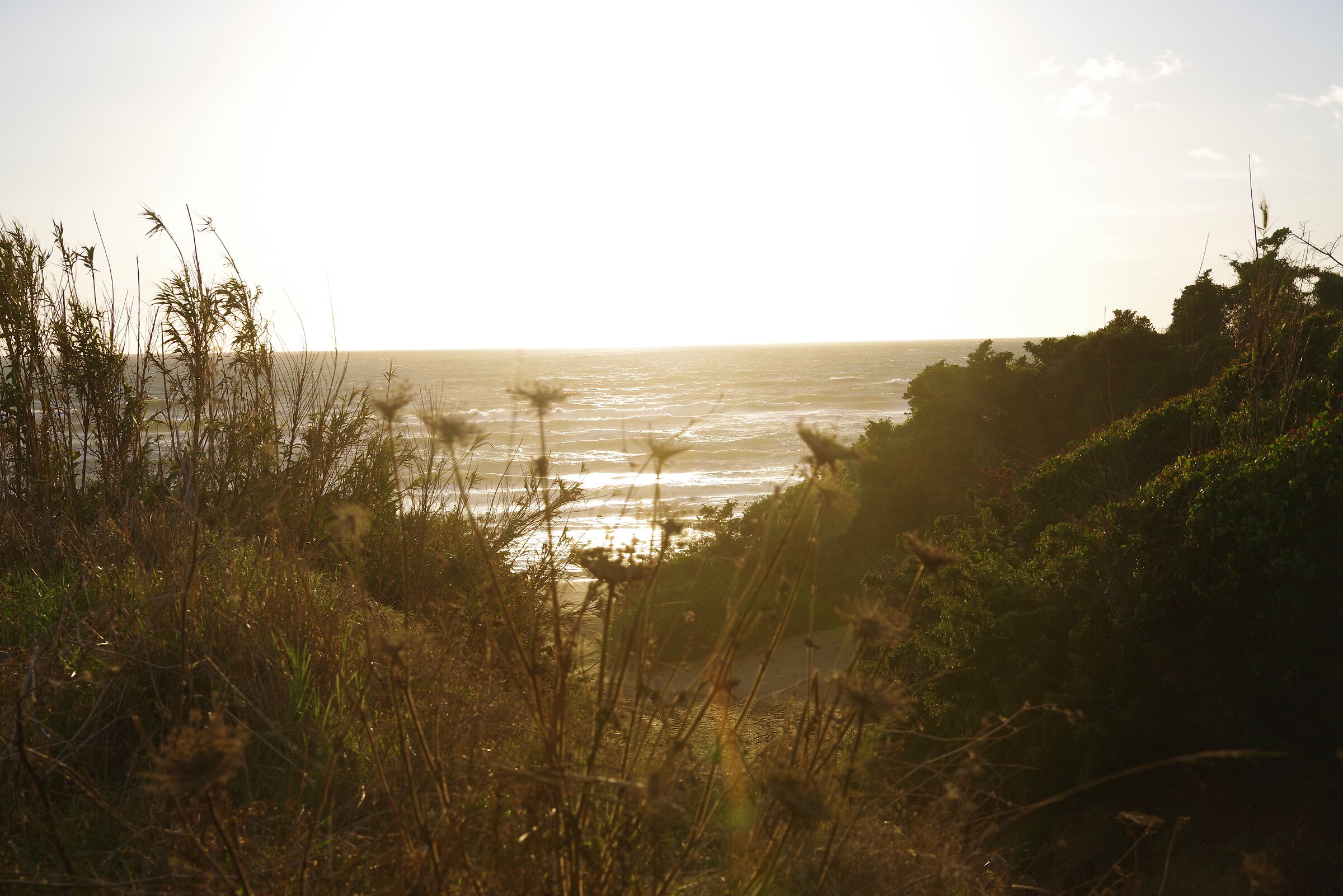 Sabaudia spiaggia - Latina