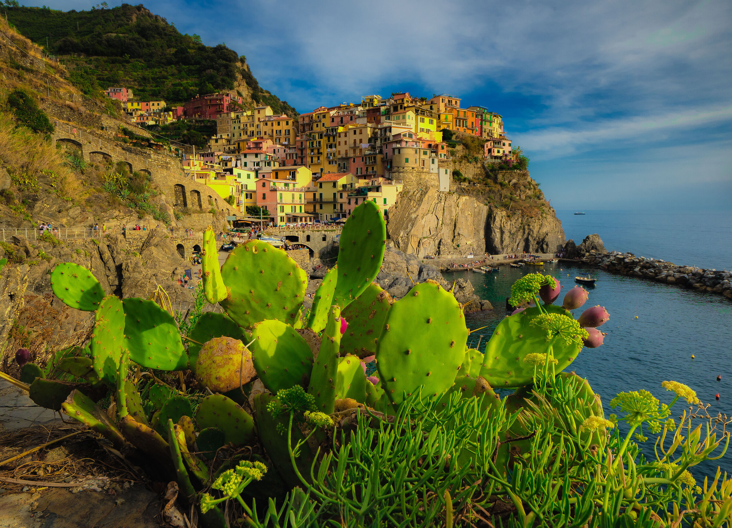 I fichi di Manarola
