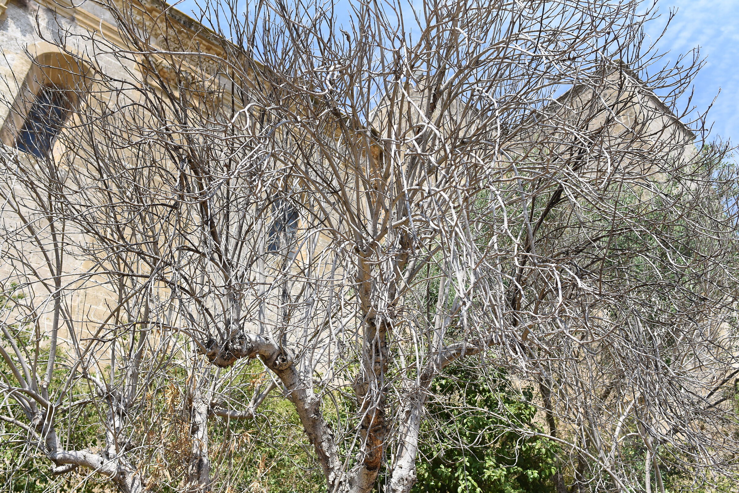 " 1/ 4.0 0 0 ", ISO 1.0 0 0, F. 5.6- Nikon 28, 1.4 E ED