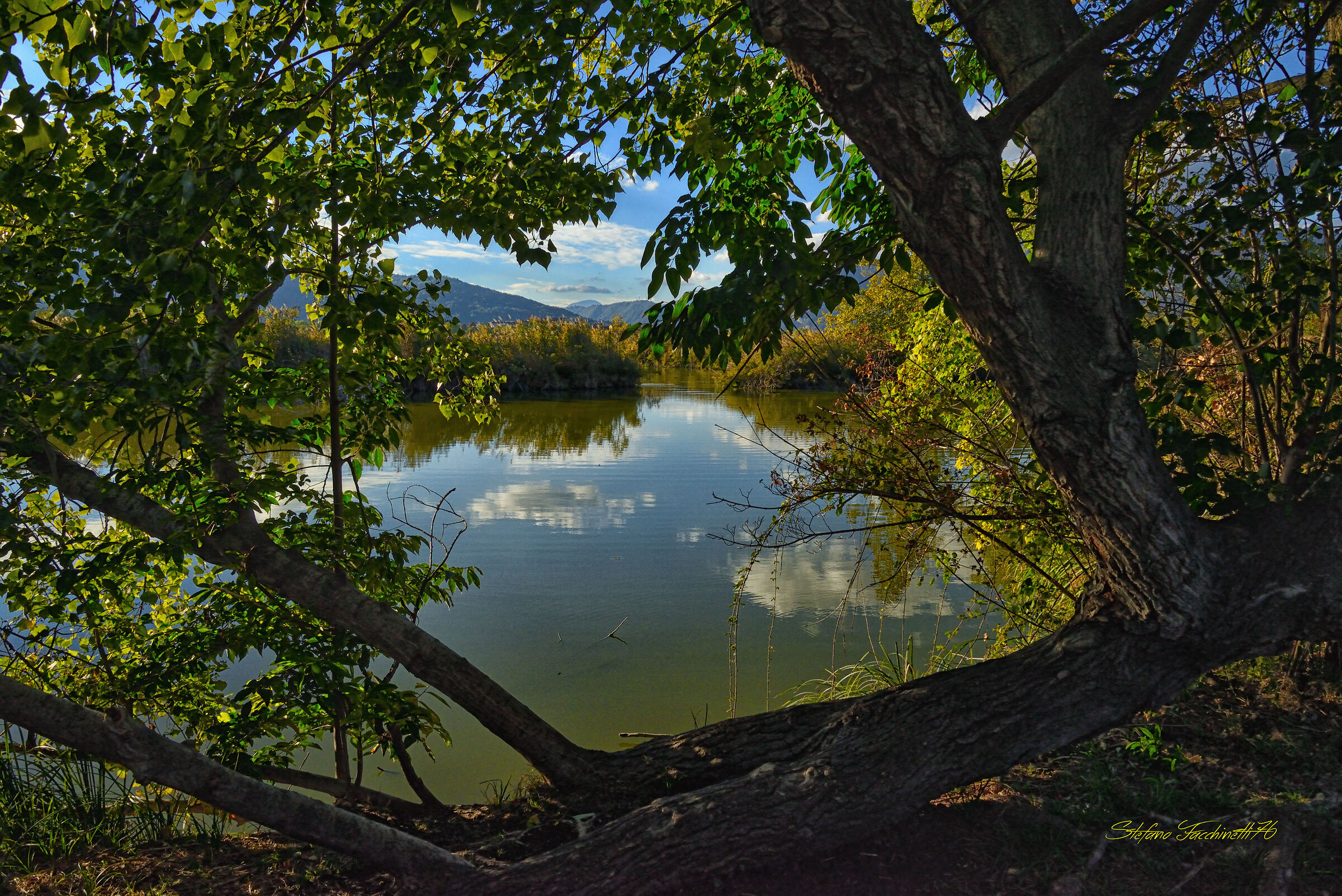Finestra sulle Torbiere