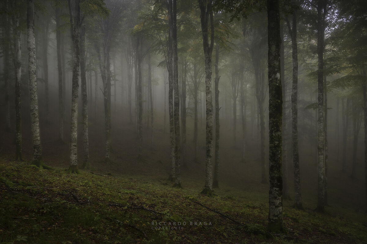 Nebbie mattutine di Ottobre