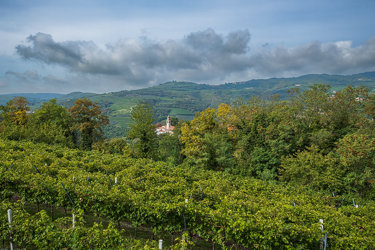 Mezzane di Sopra