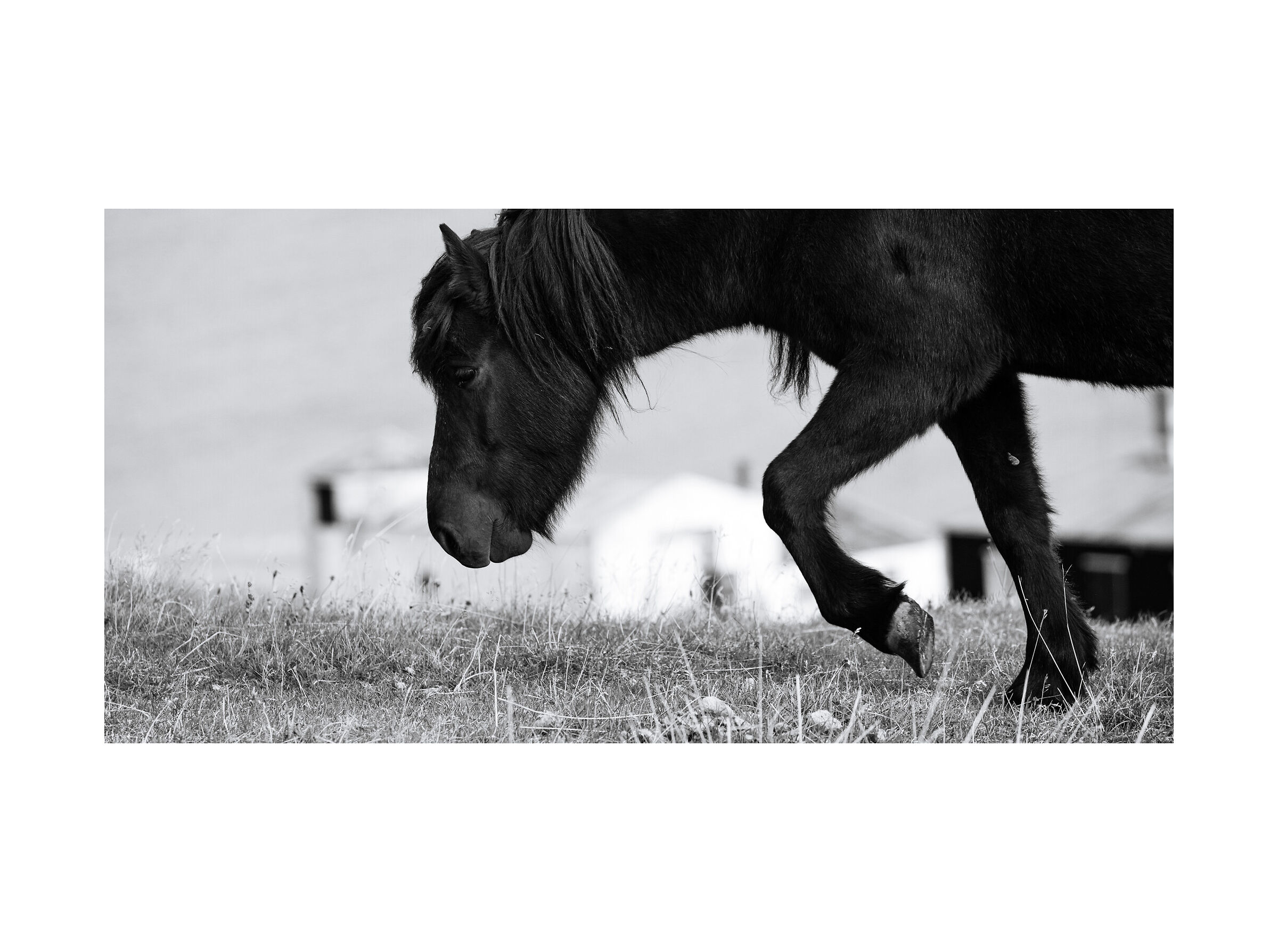 2022 Settembre, Islanda in BW - Anteprima