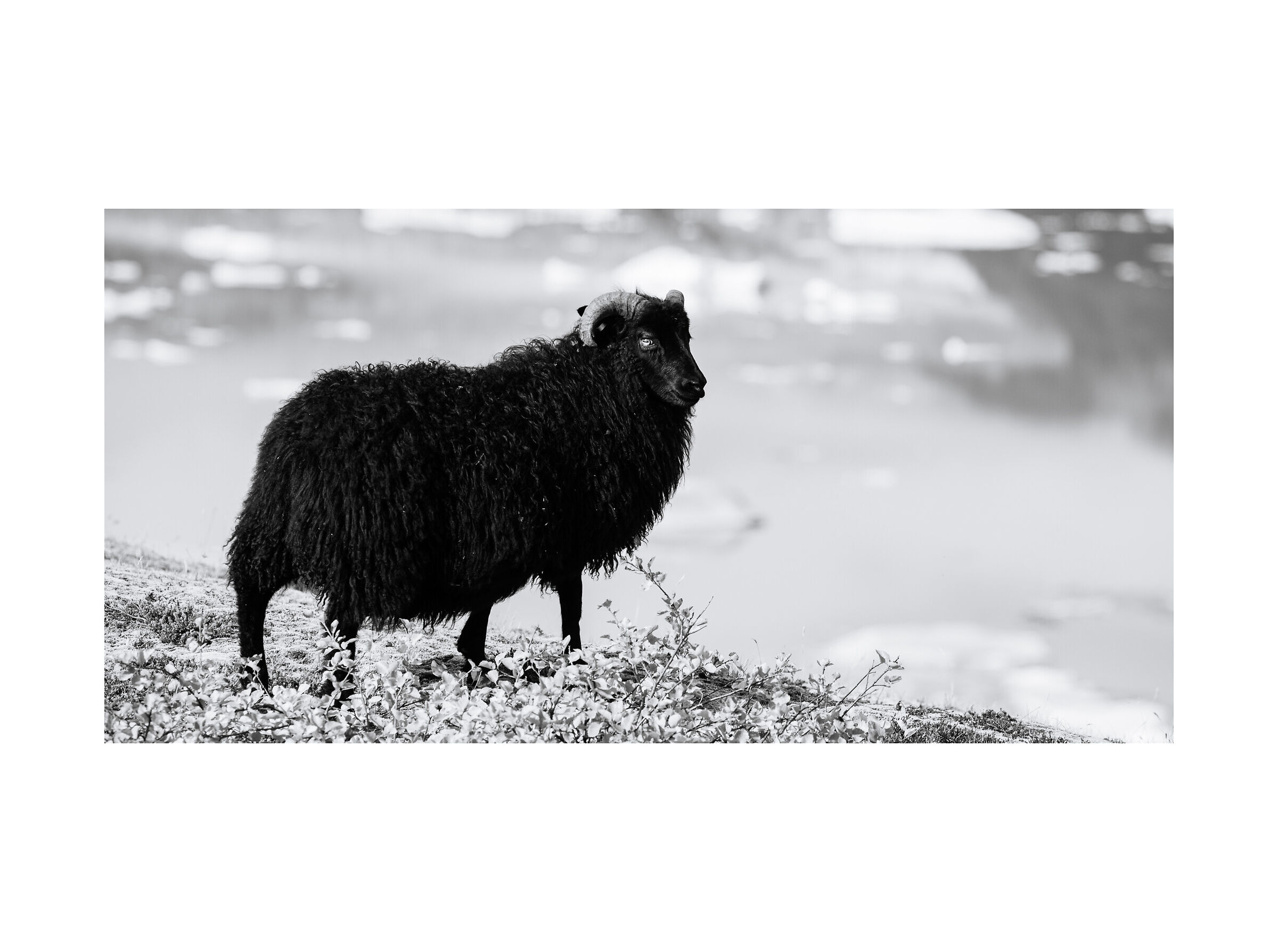 2022 Settembre, Islanda in BW - Anteprima