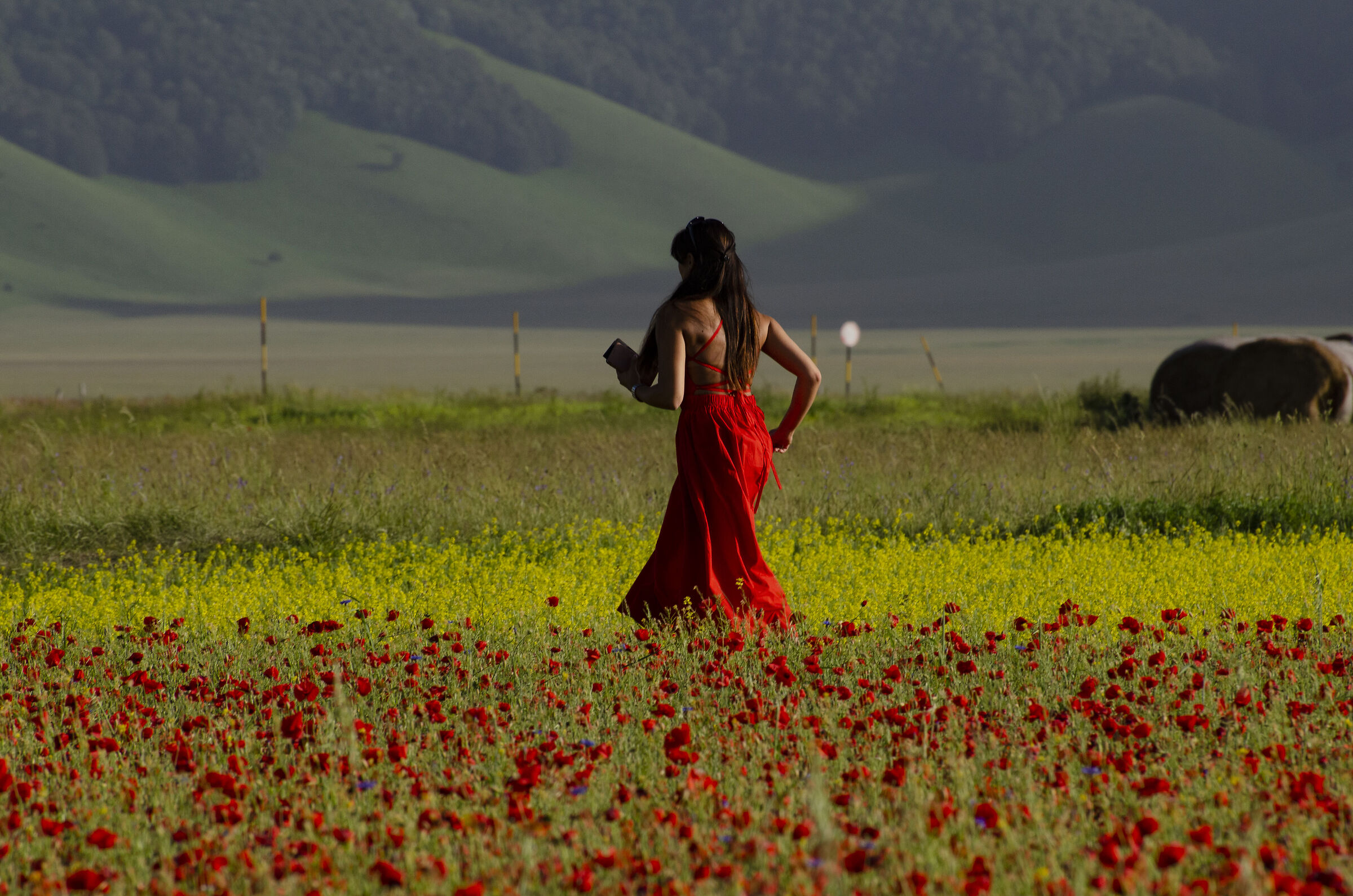 Correndo tra i colori di Castelluccio