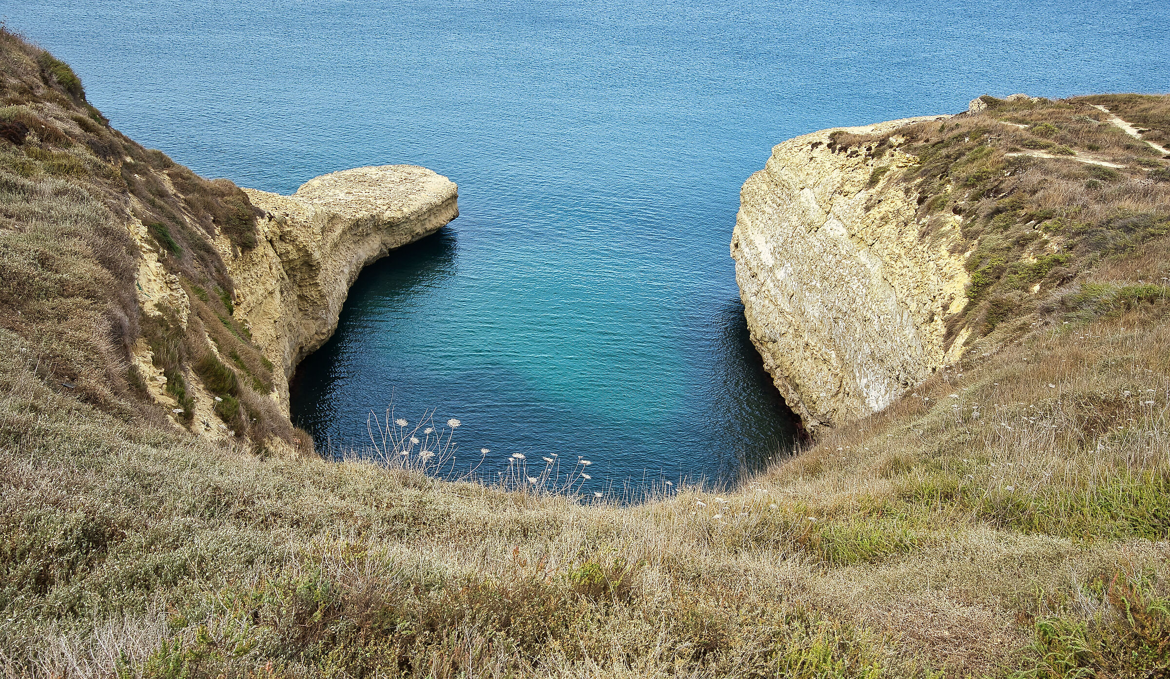 la tartaruga e il coccodrillo..