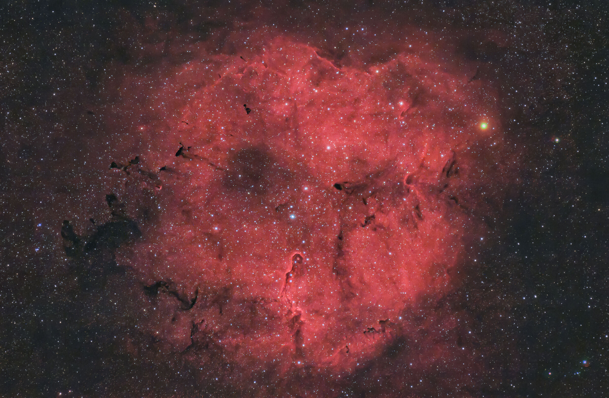 Nebulosa Proboscide d'elefante