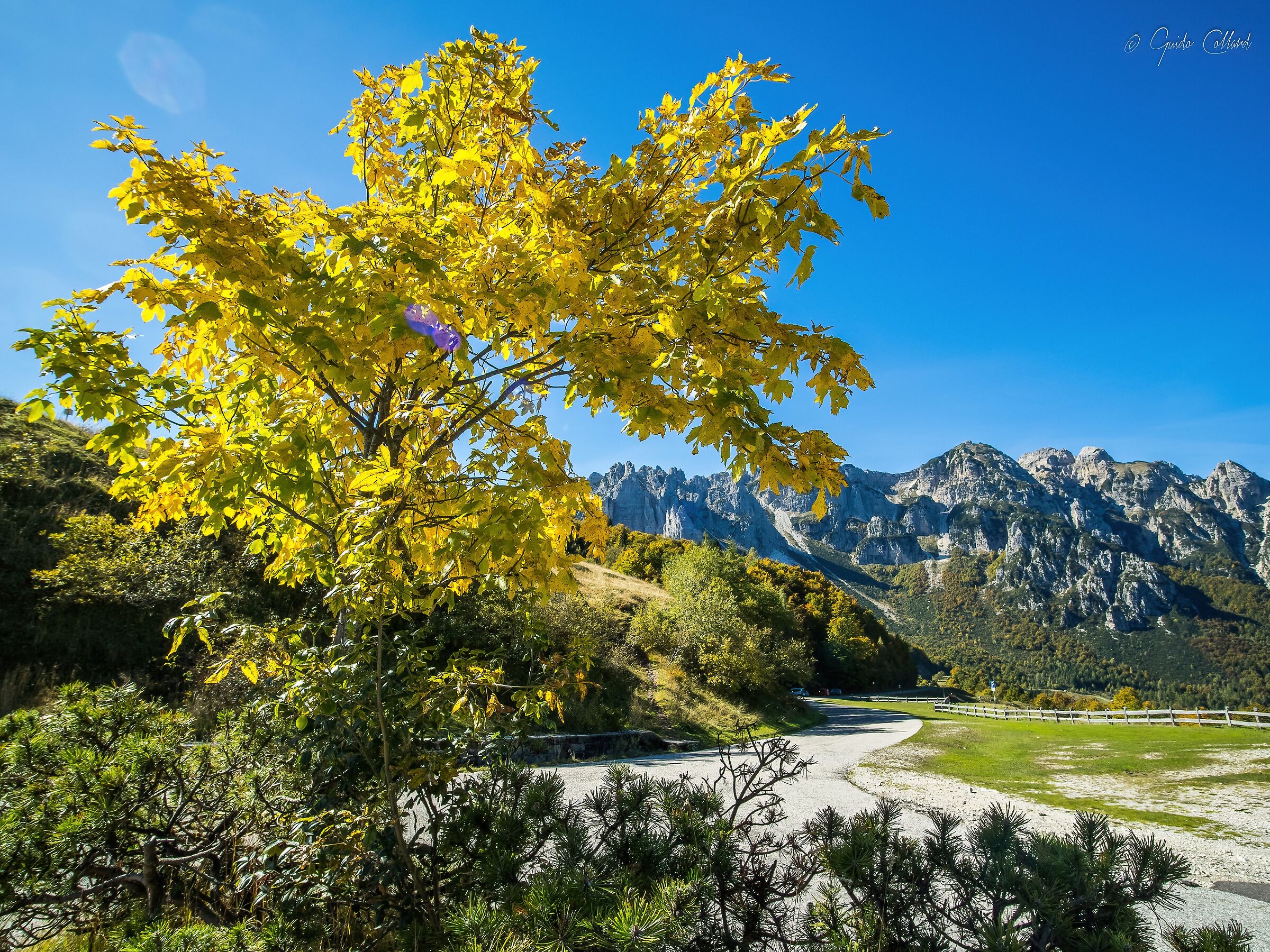 Primi colori di autunno