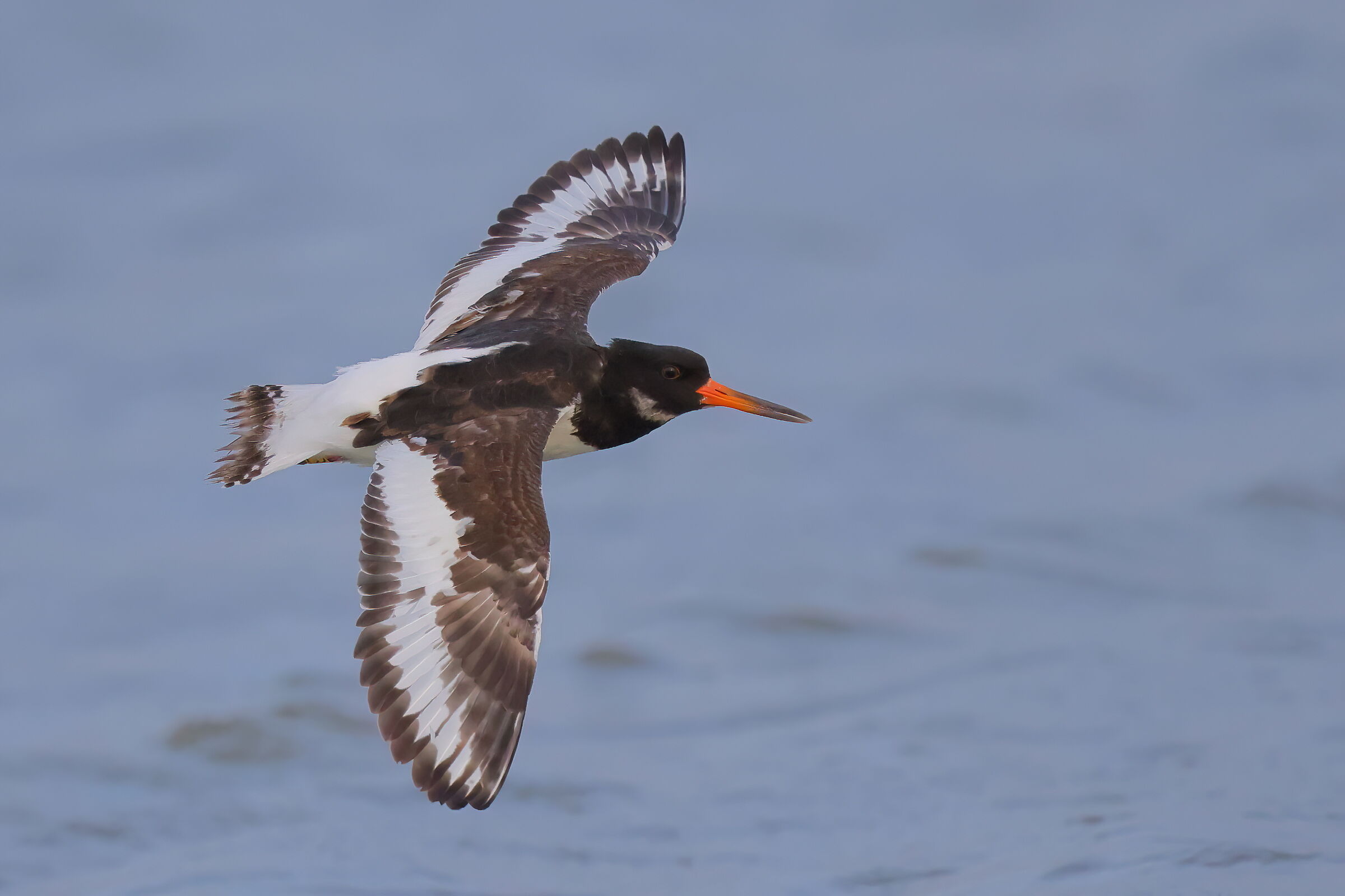 towards its first winter..