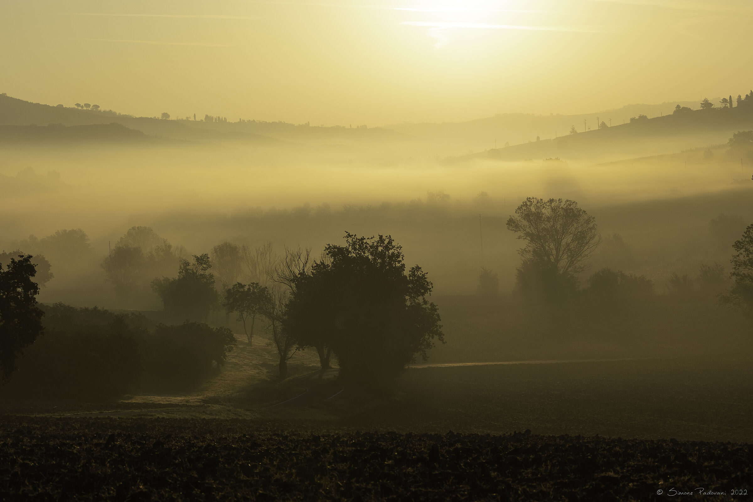 nebbia ed arancio...