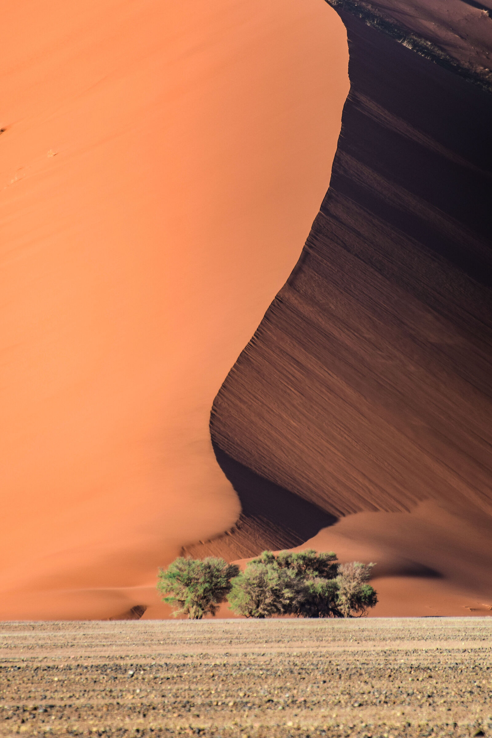Namib Desert