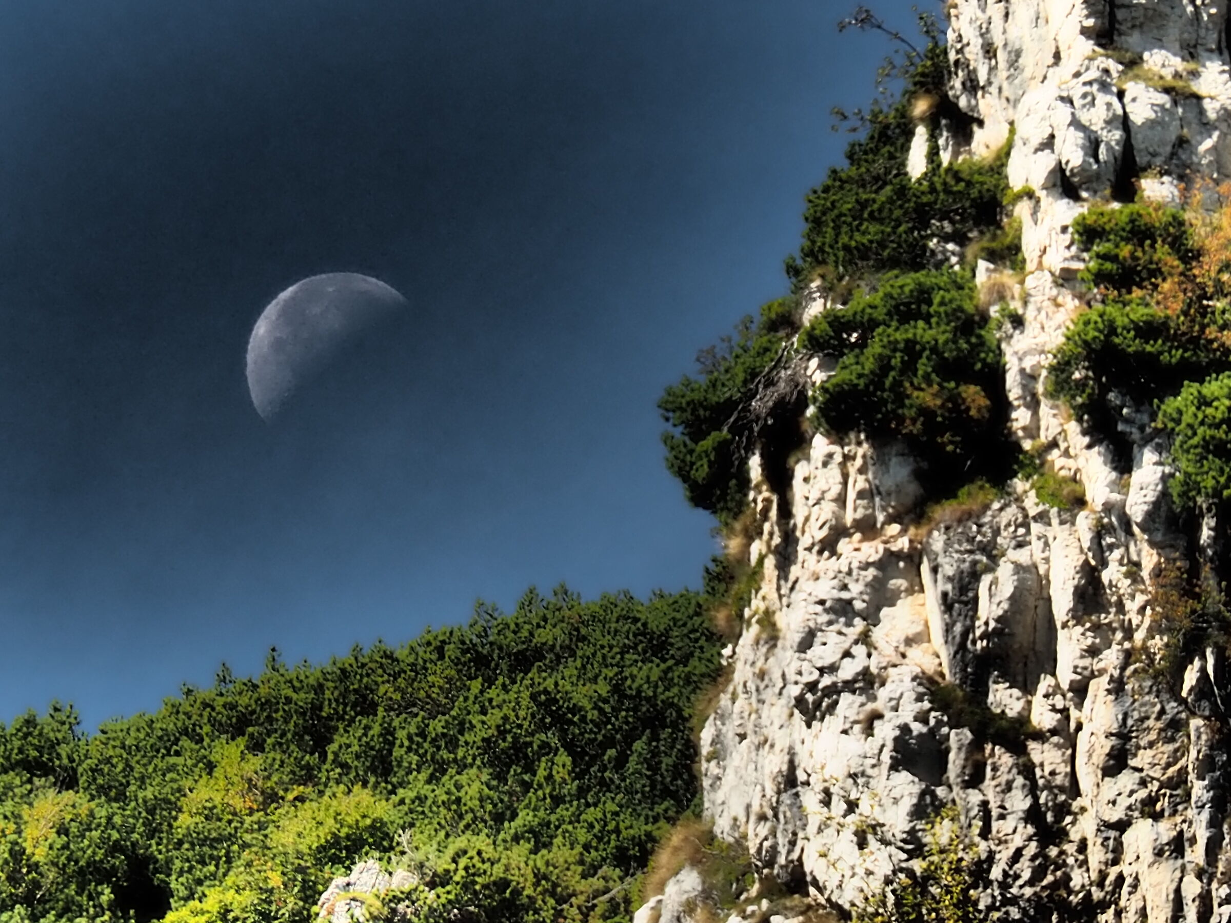 The Moon