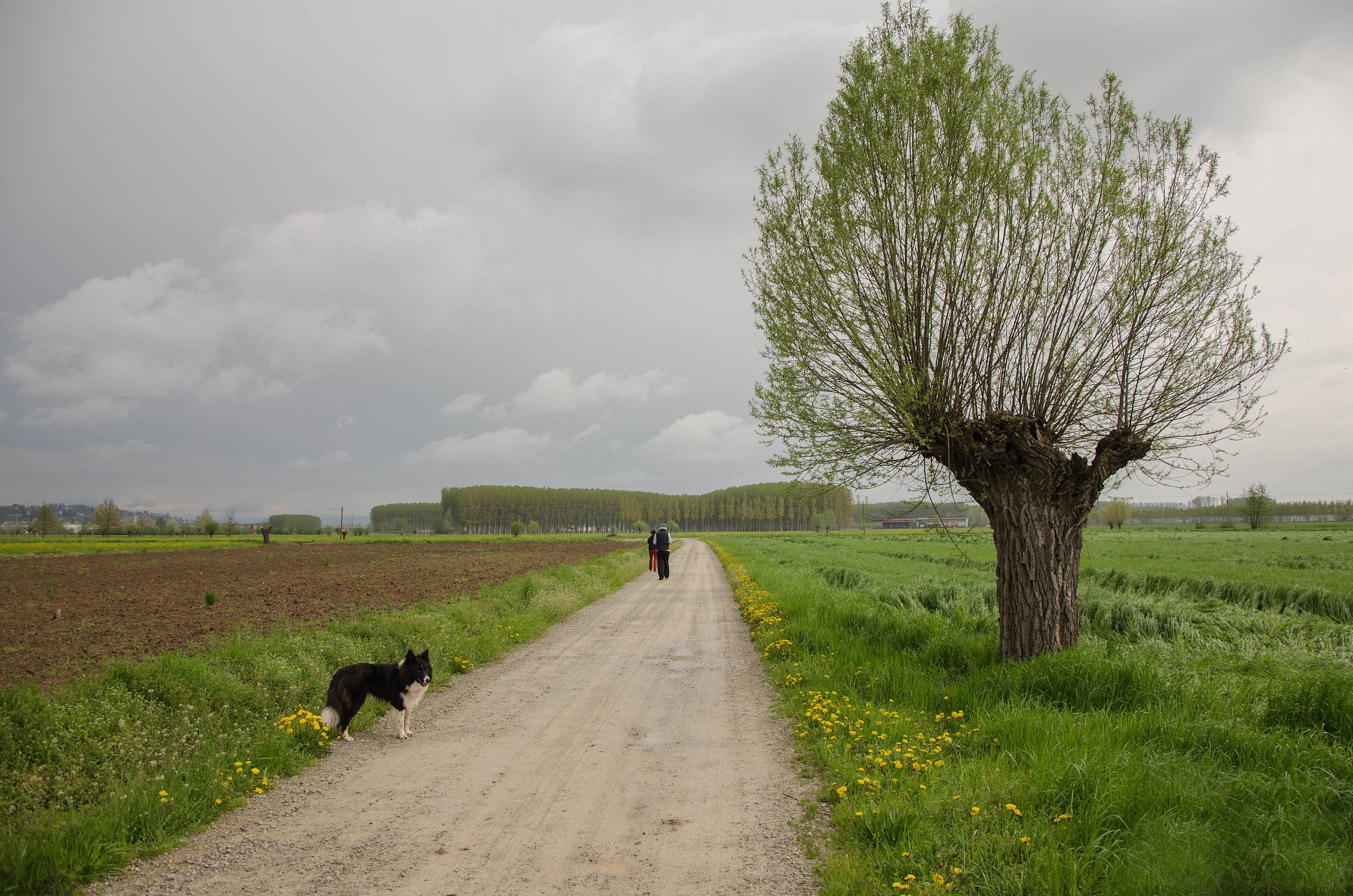 Strade del mio paesino