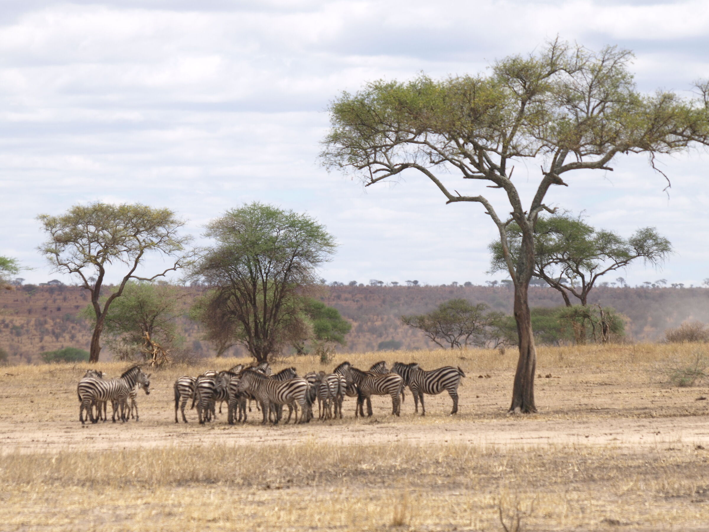 Kenya