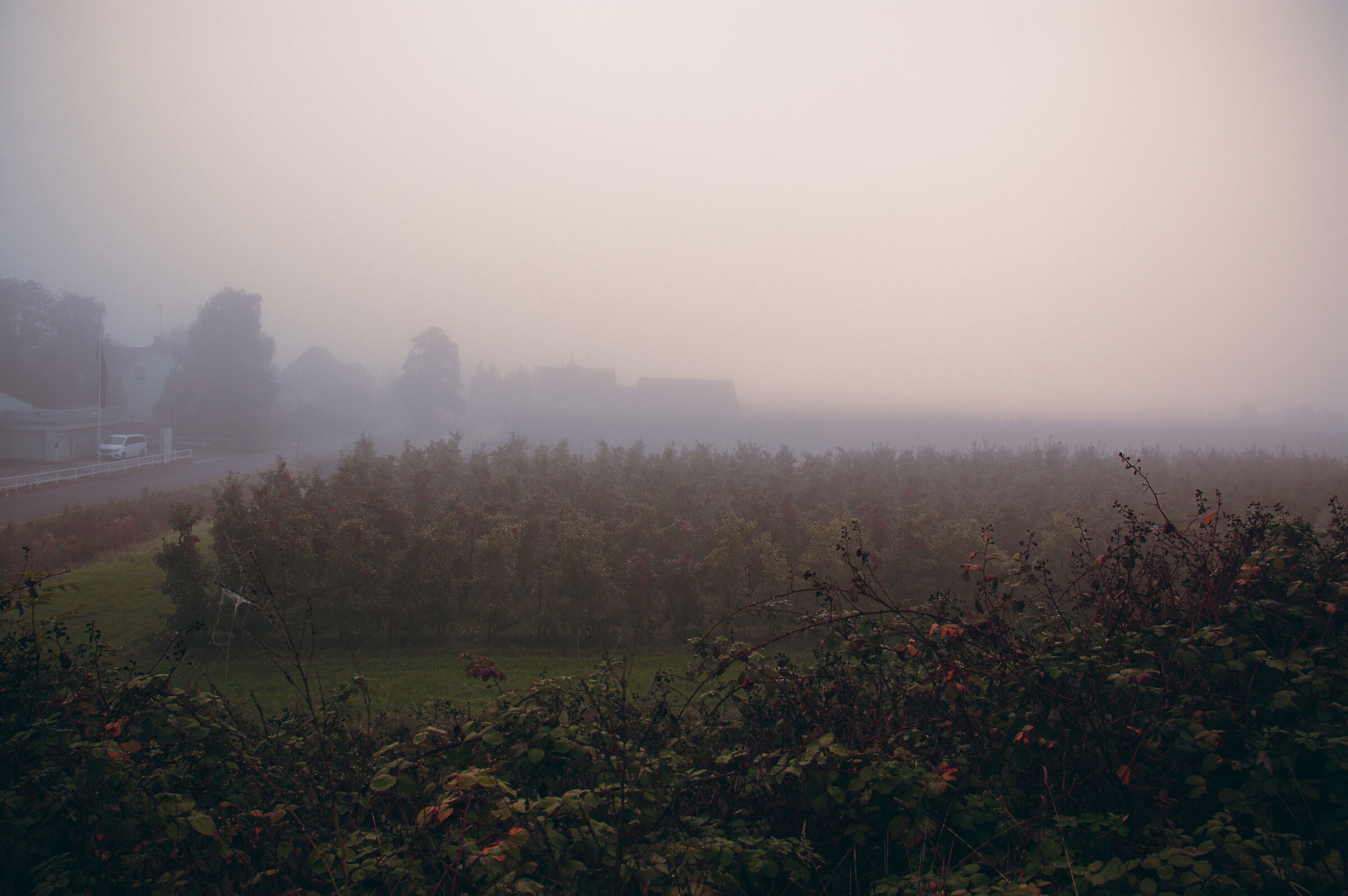 Fog in Finkenwerder