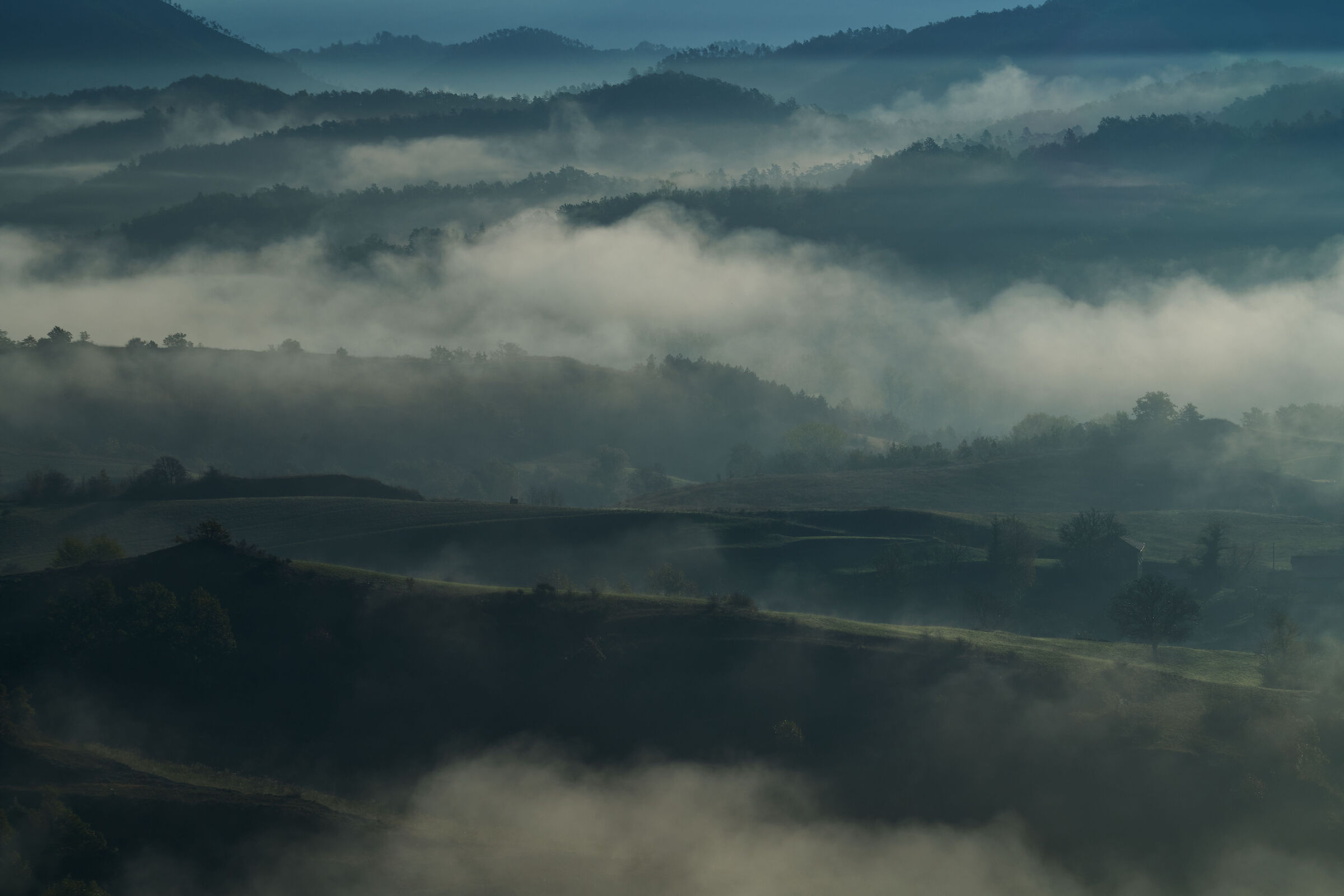 Mists