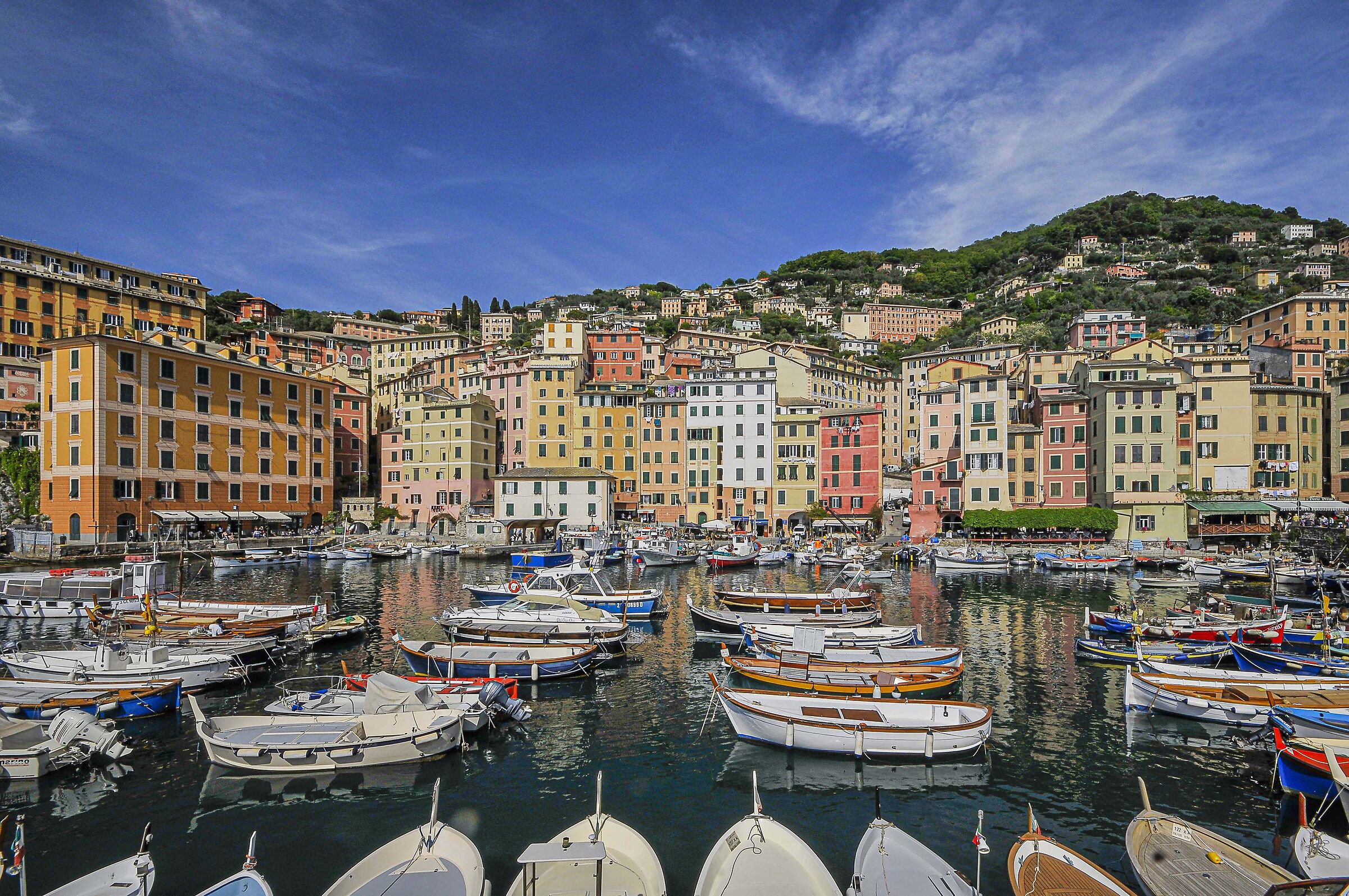 marina camogli 6