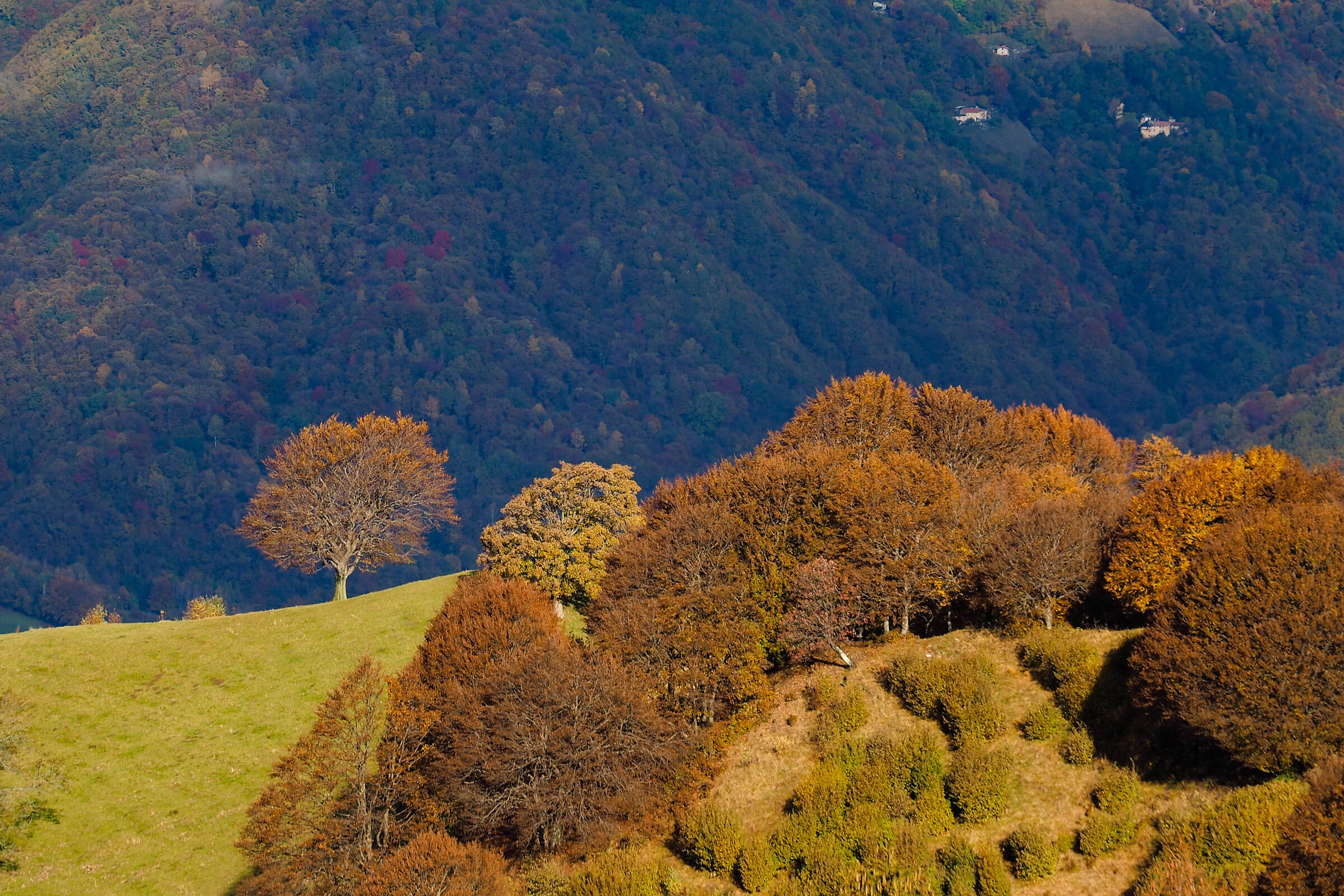 How beautiful autumn returns!