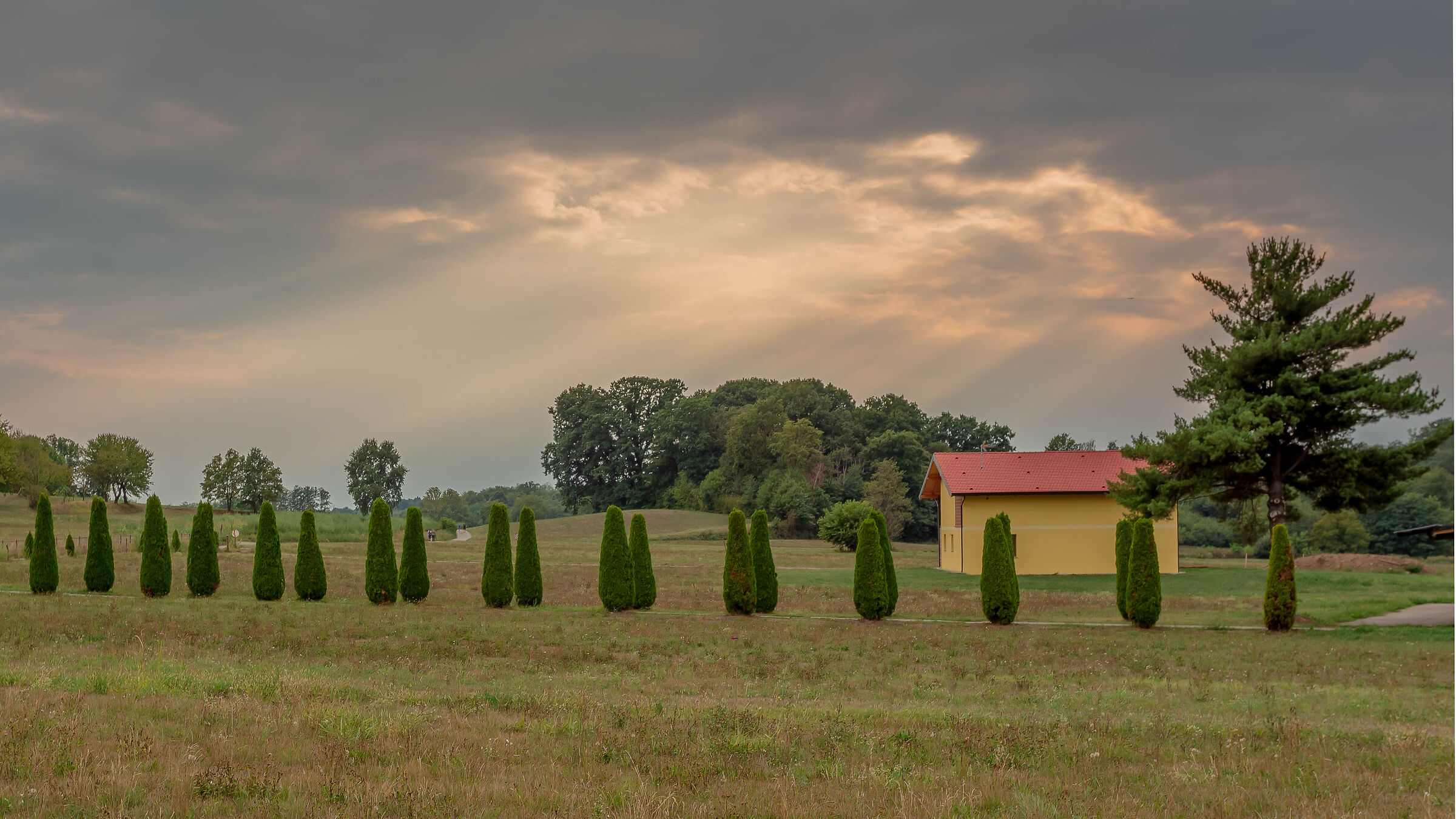 I cipressi della piana di Vegonno