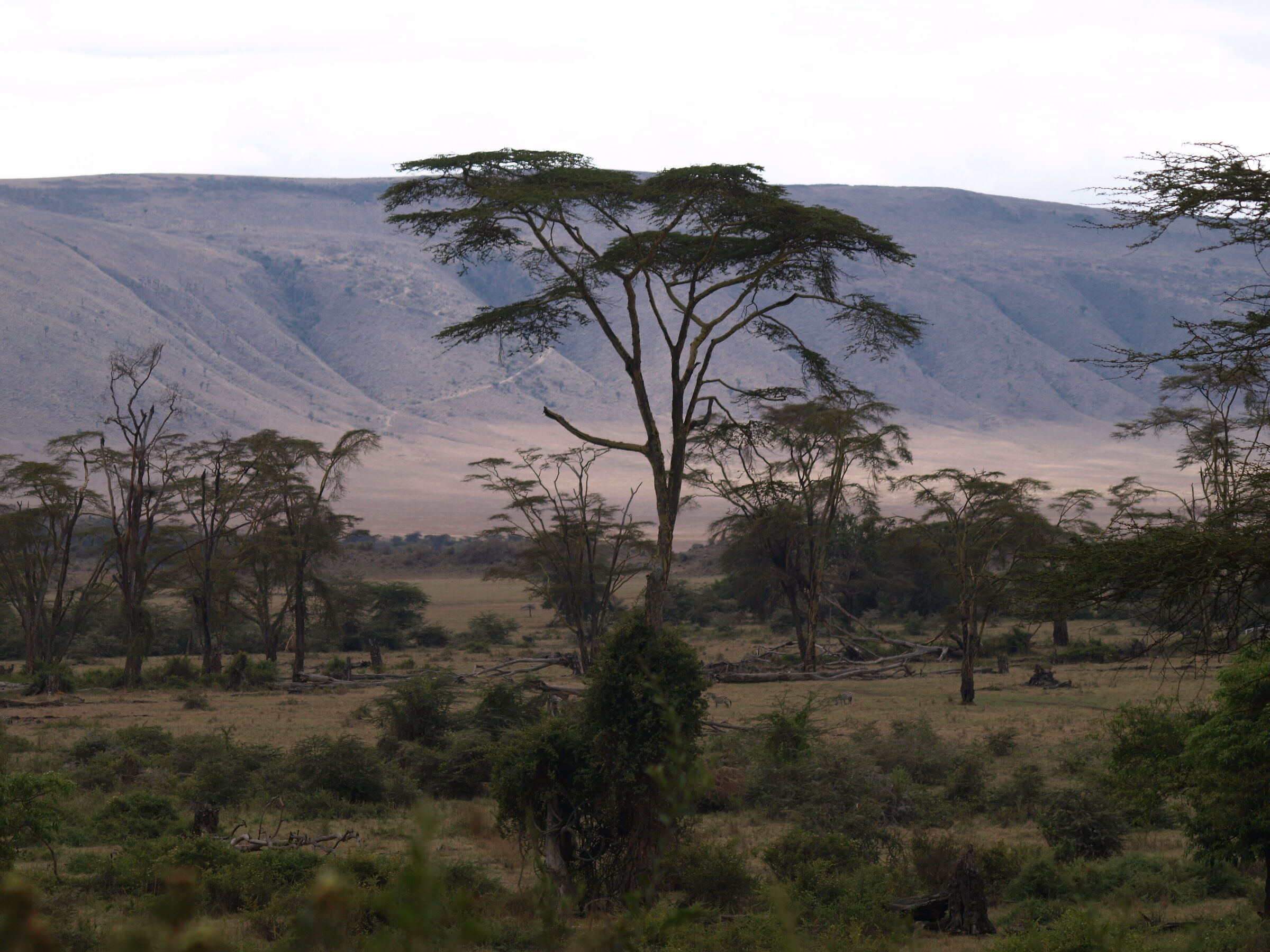 Tanzania