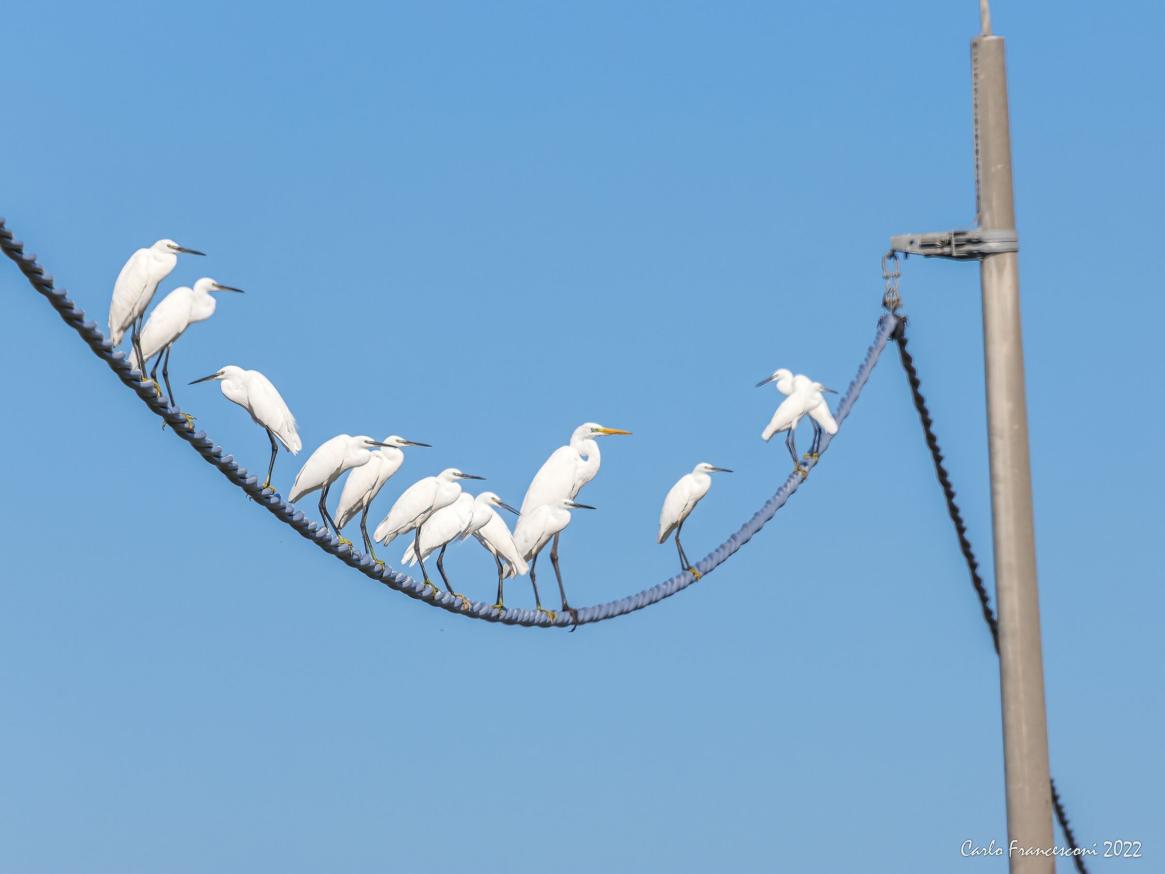 Il mucchio selvaggio