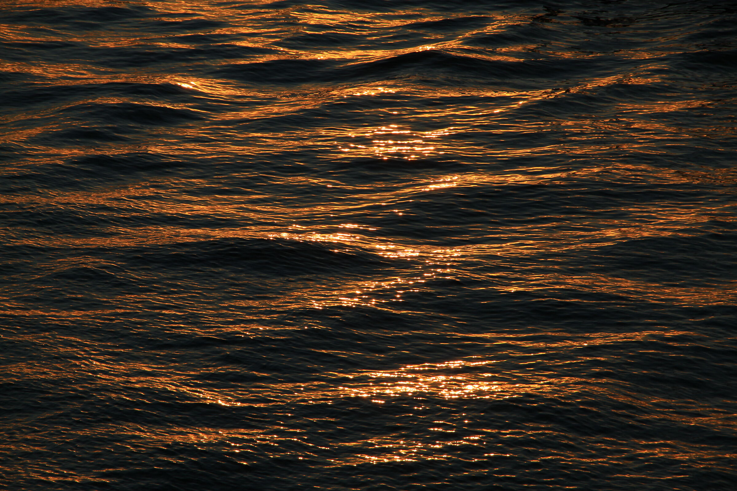 the golden waves