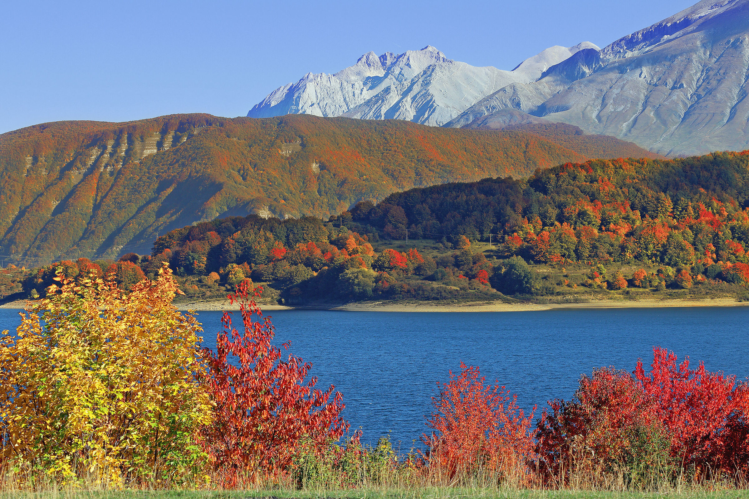 Autunno 2022