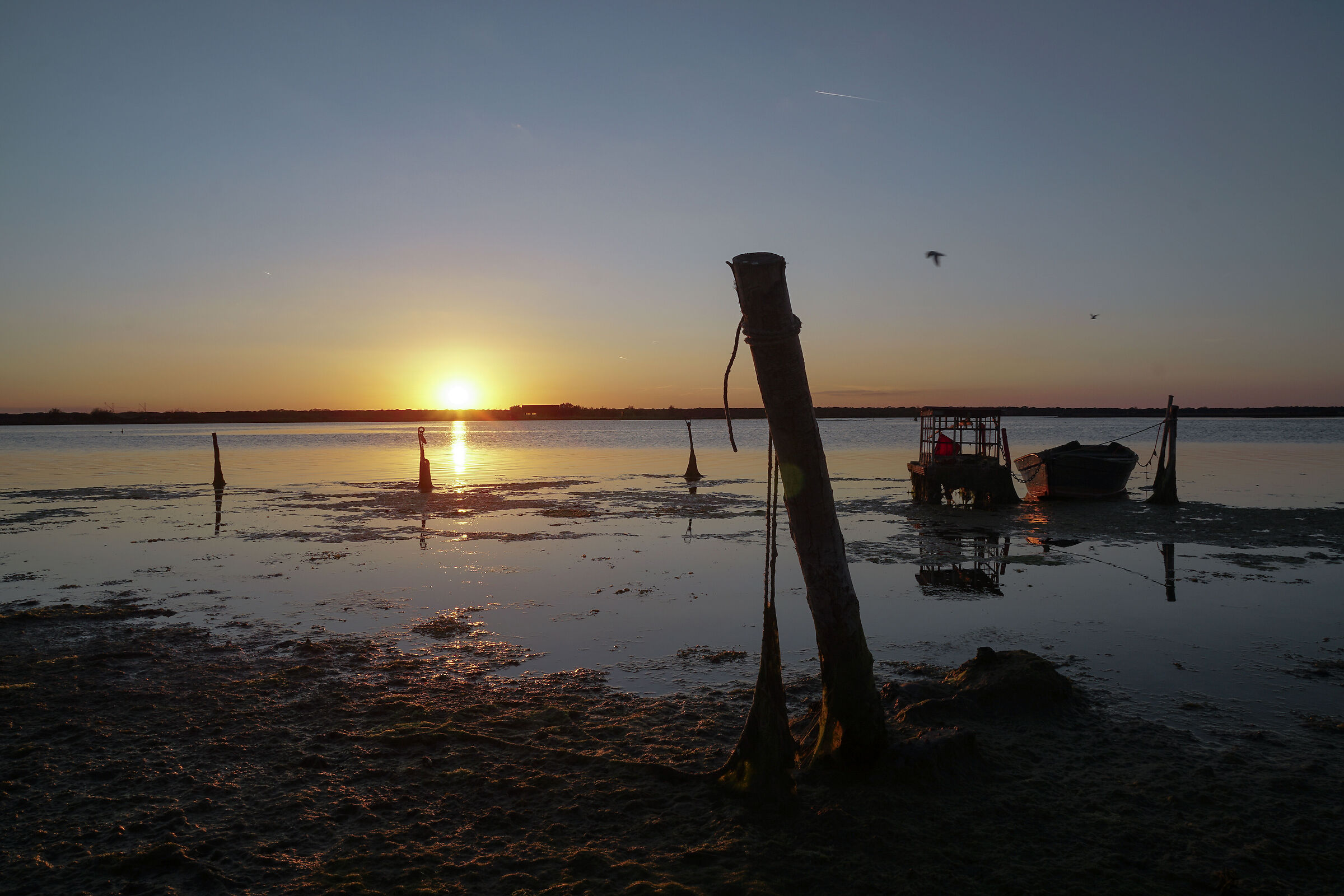 Tramonto sulla Pialassa