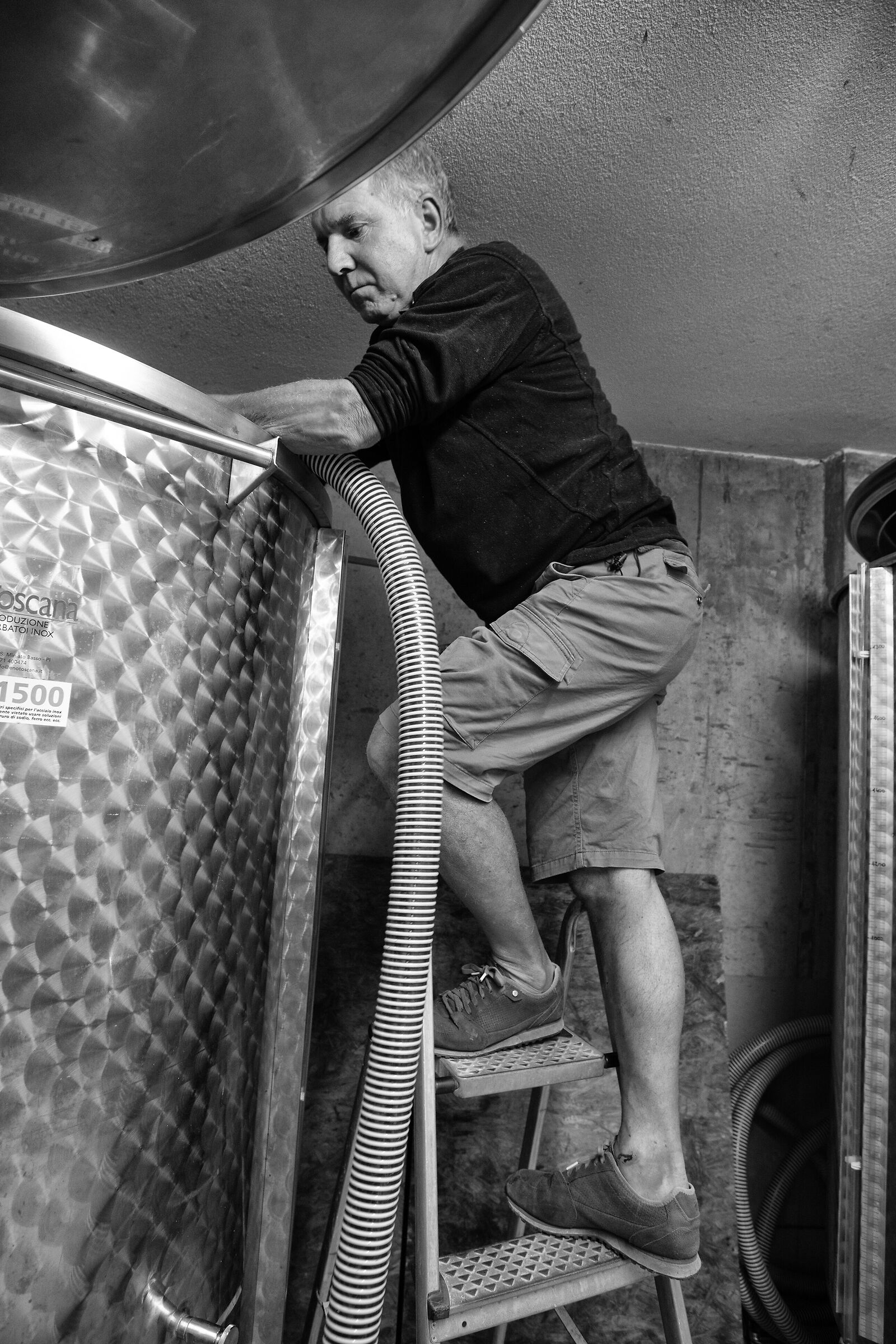 Il mosto scorre