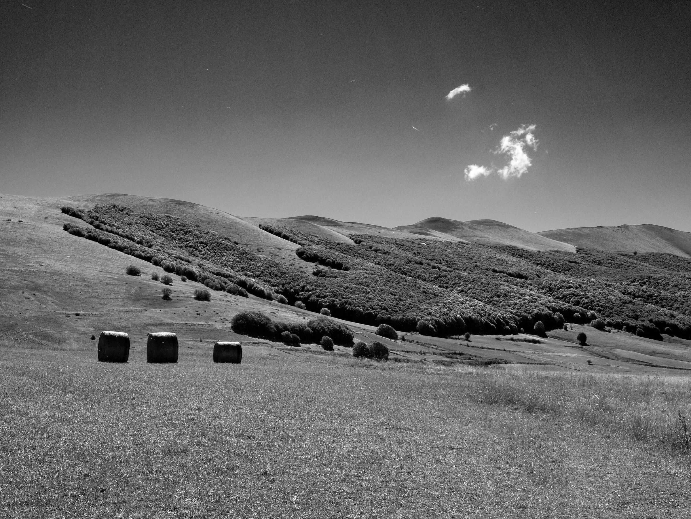 Balle (bw)