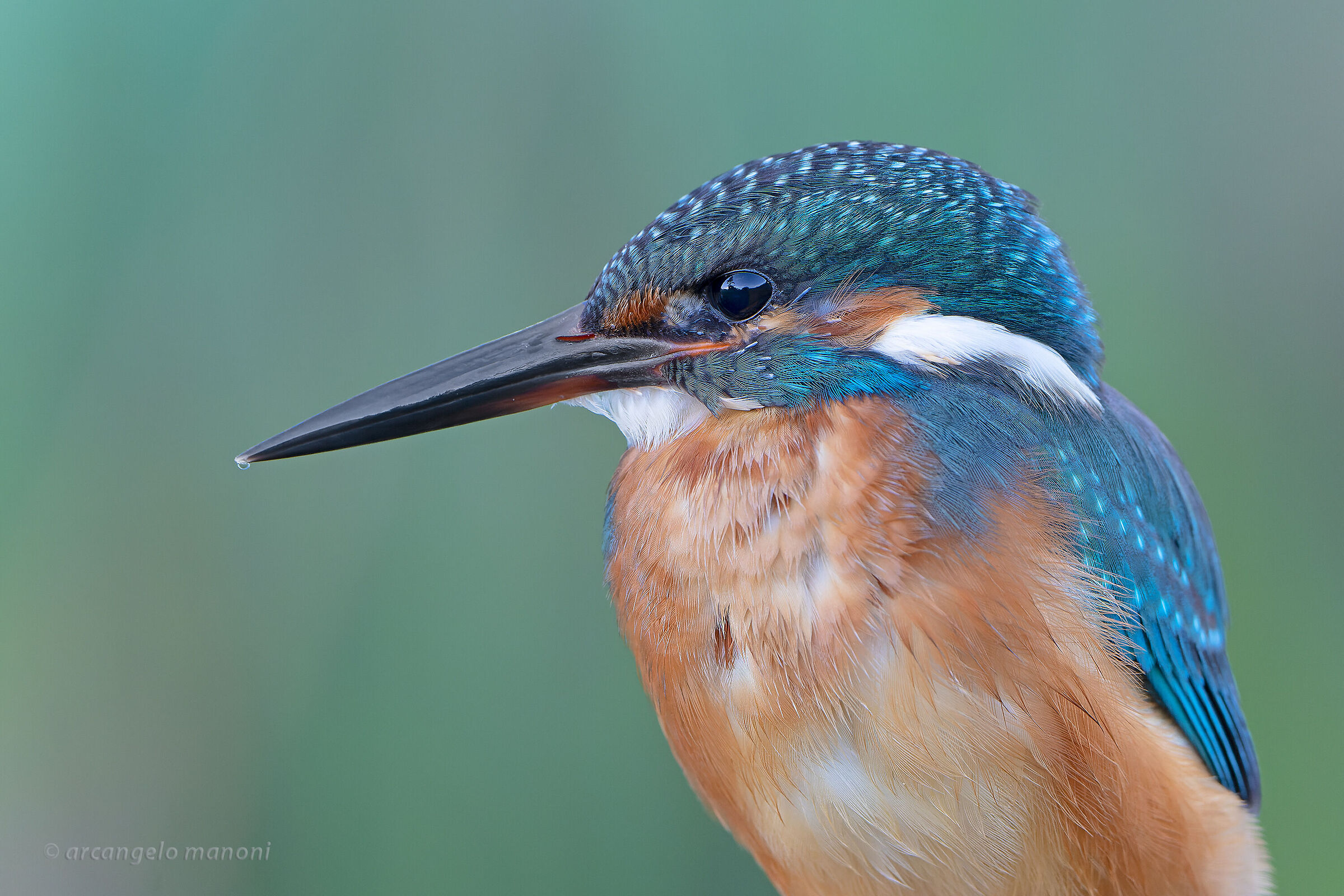 first floor at martino