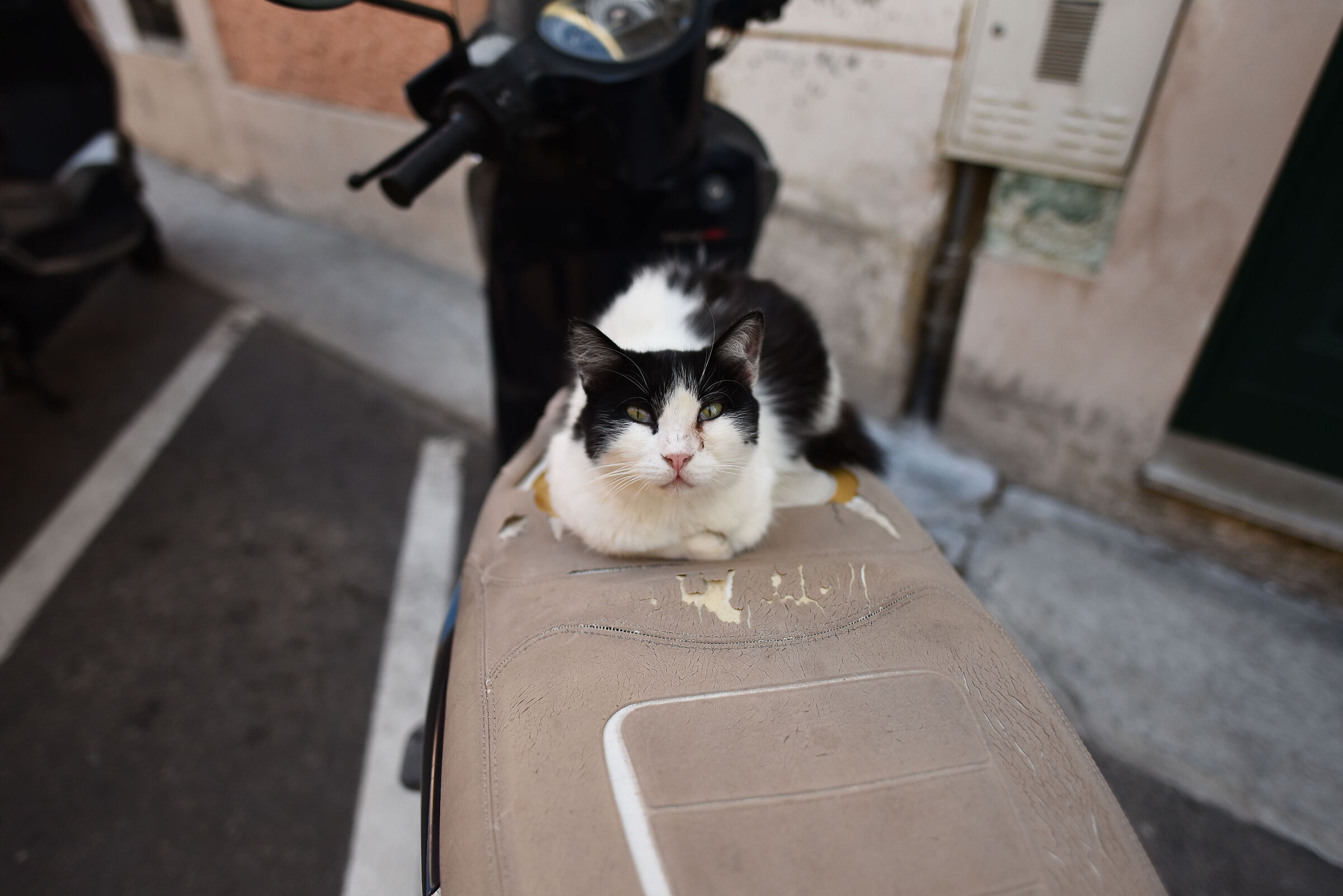 " F. 1.8 ", 1/ 4.0 0 0, ISO 1.0 0 0- Otus Zeiss 28...