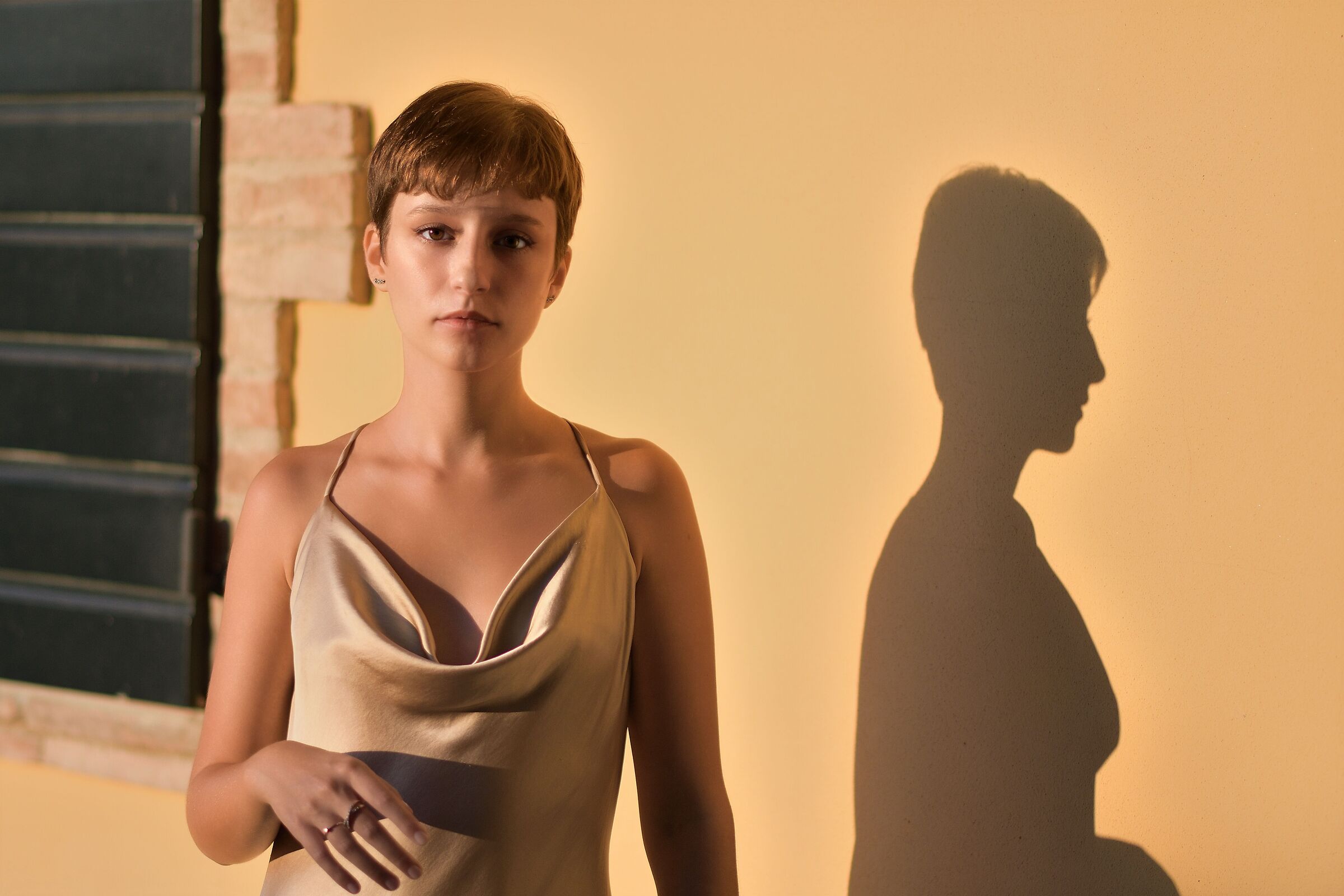 Silvia e la sua ombra