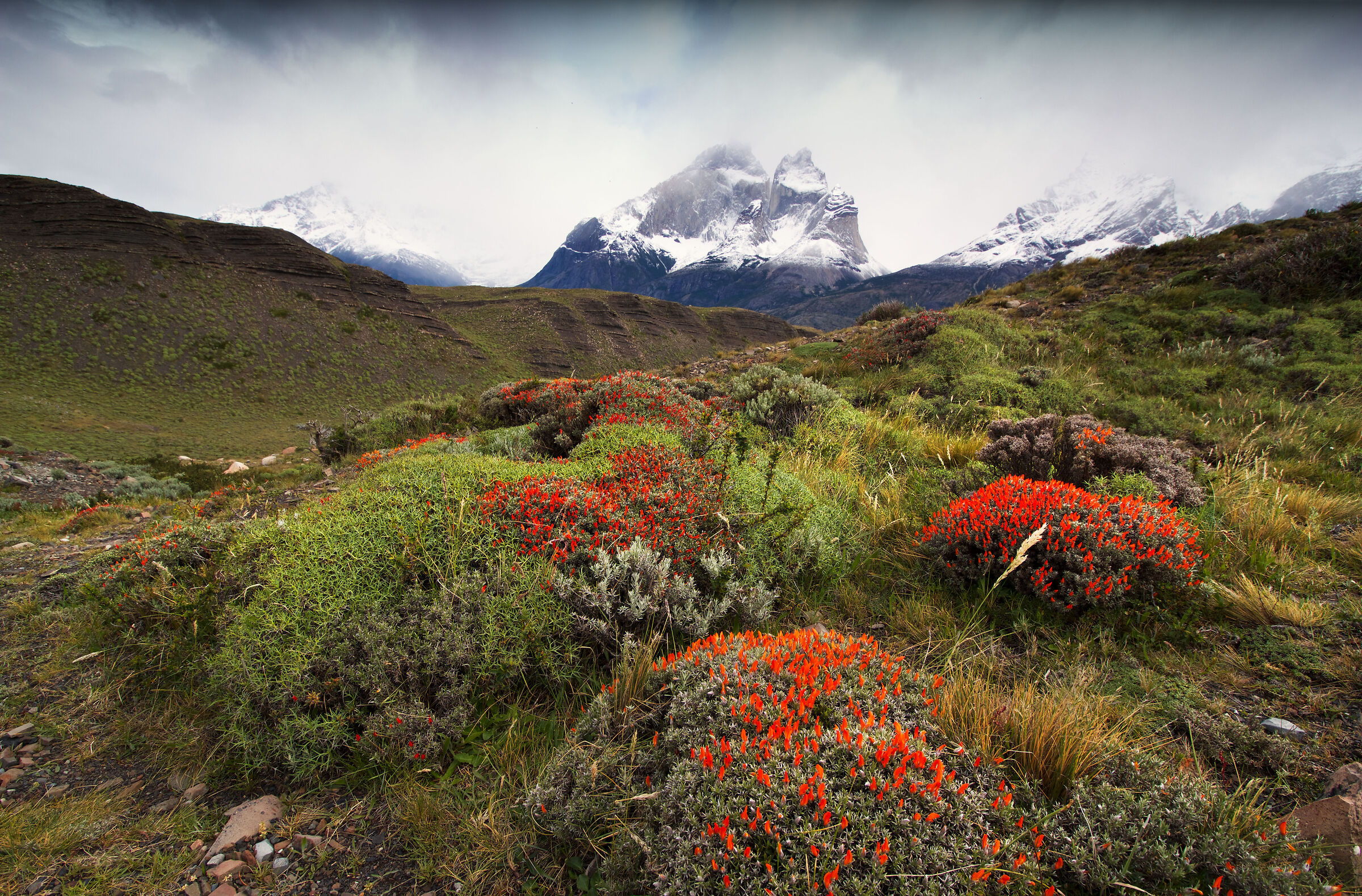 Torres del Paine