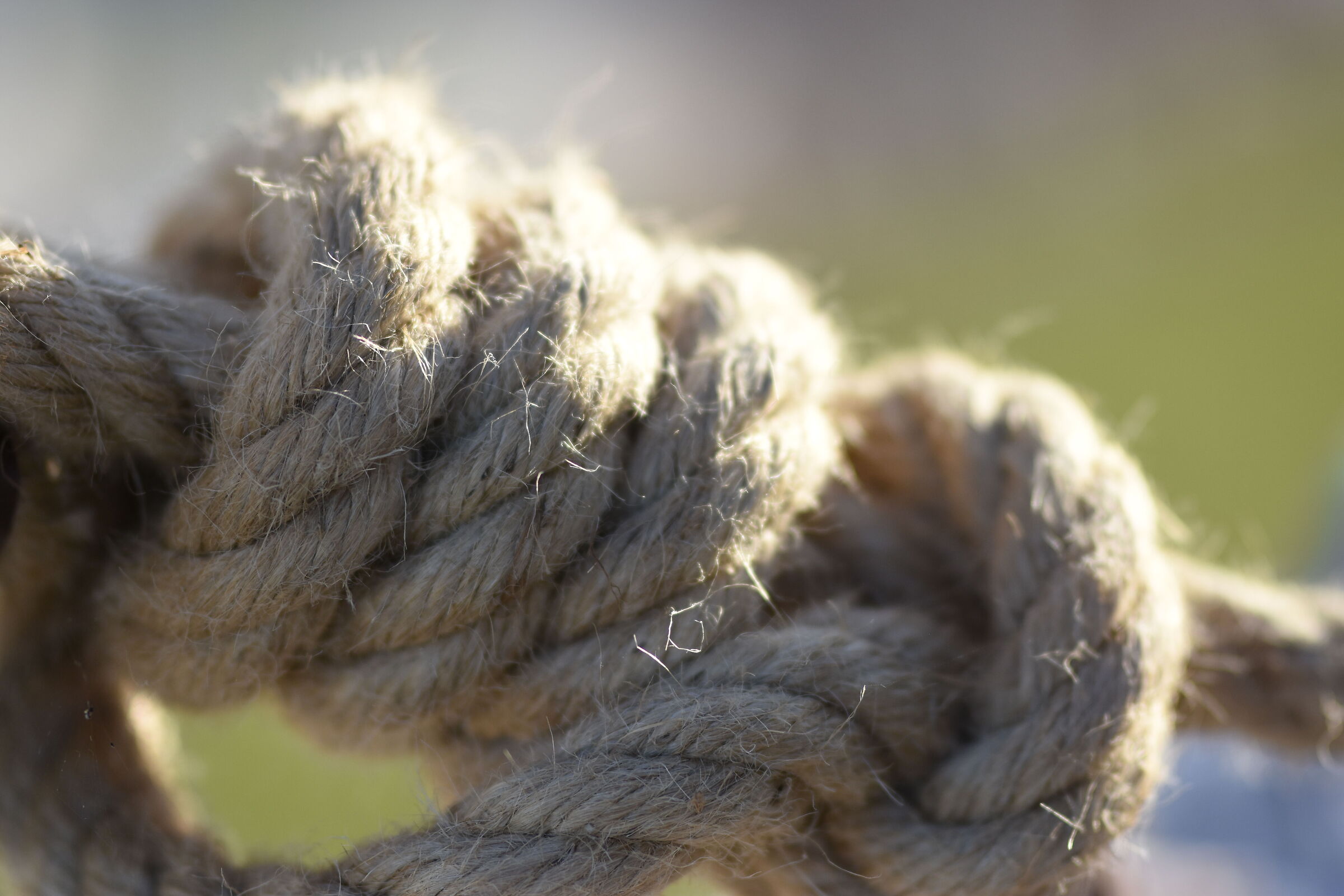 "F. 1.4",1/8.0 0 0, ISO 250- Sigma 85, 1.4 Art, D ...