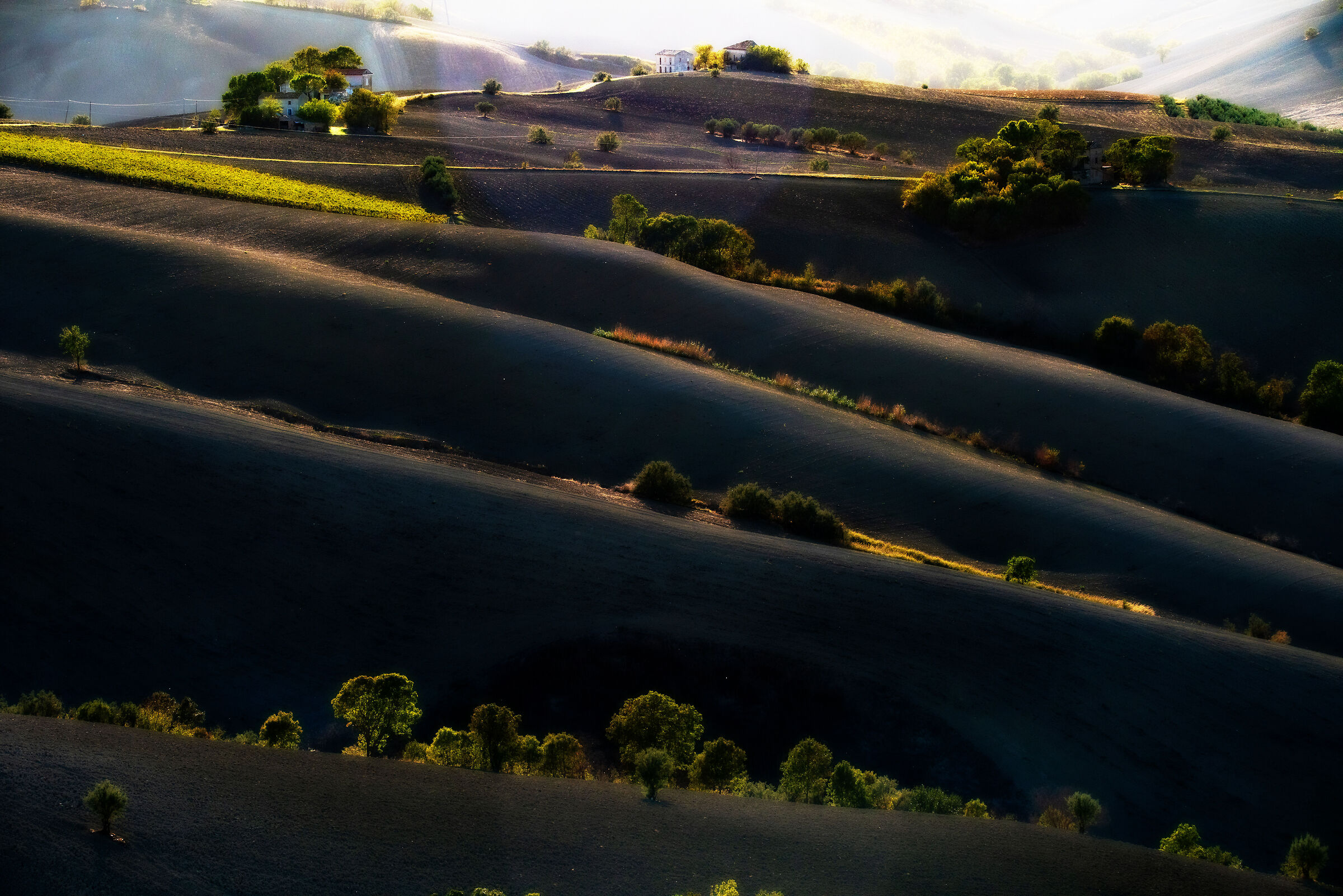 Controluce di Ottobre