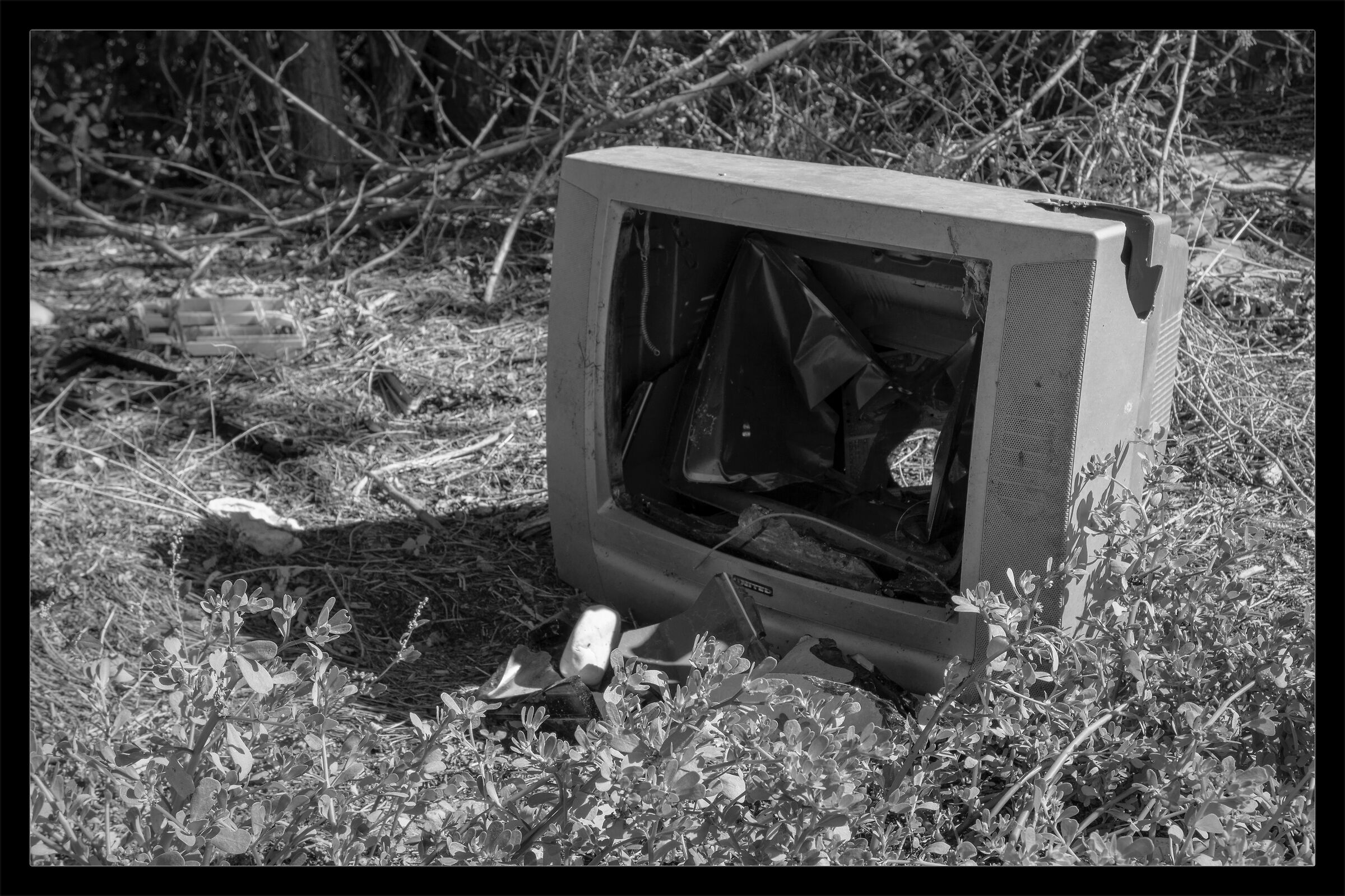 Televisione in bianco e nero