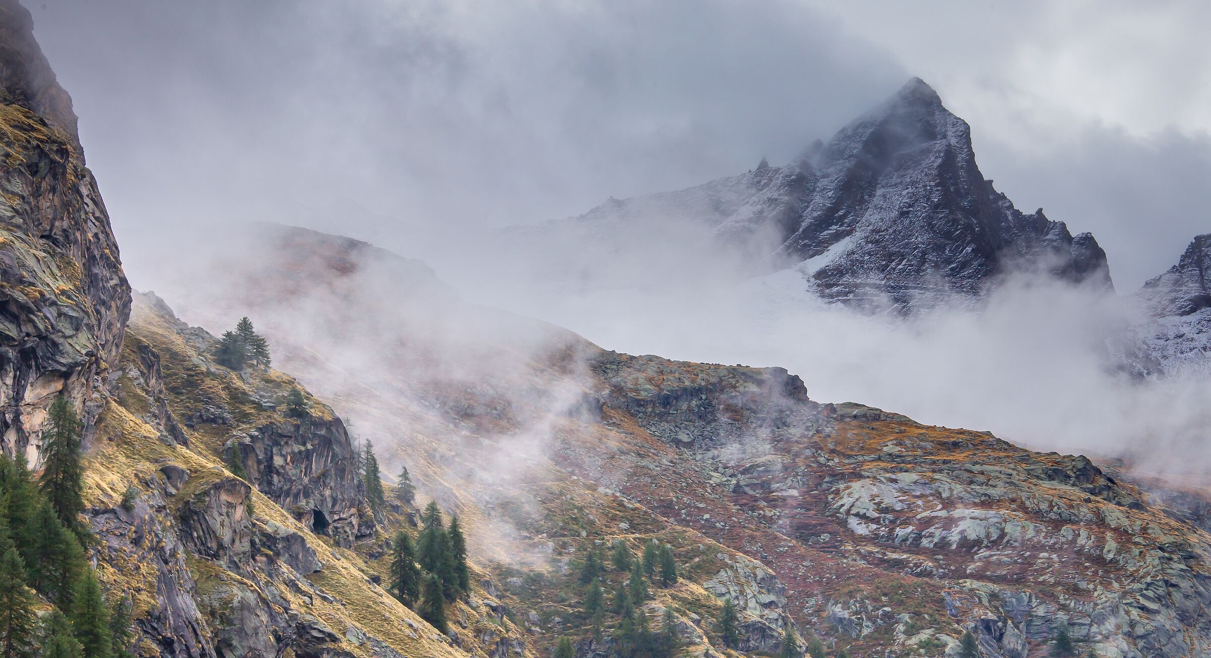 nebbia e zucchero a velo