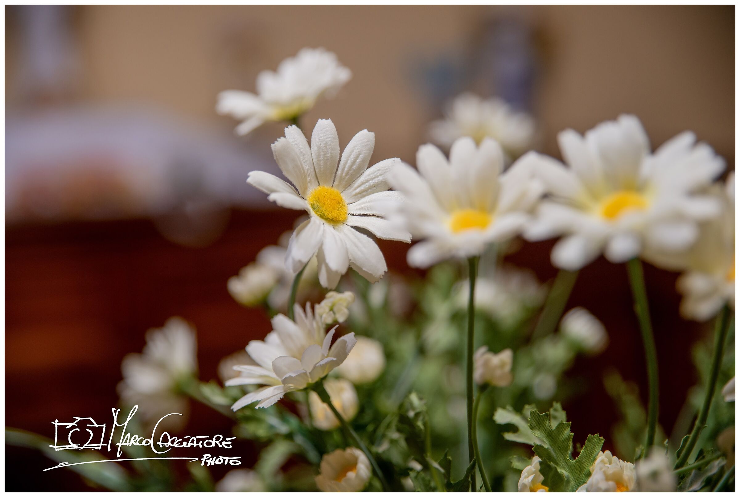 TEST lens and machine