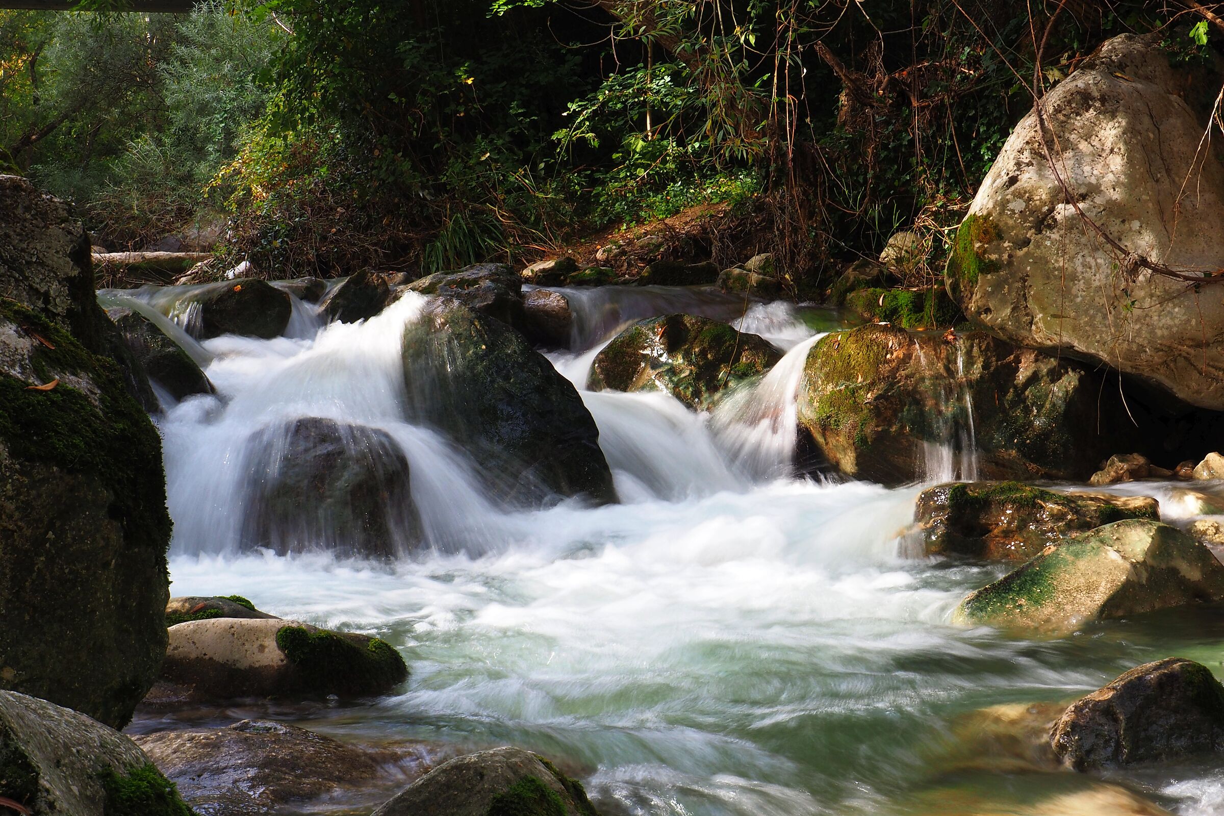 autunno sul torrente