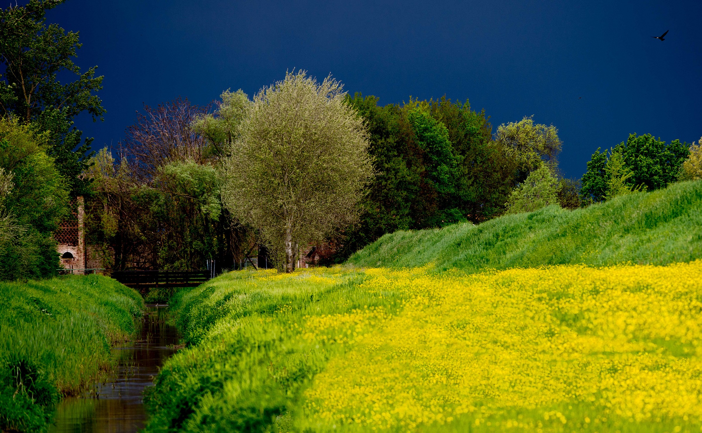 Prima della tempesta